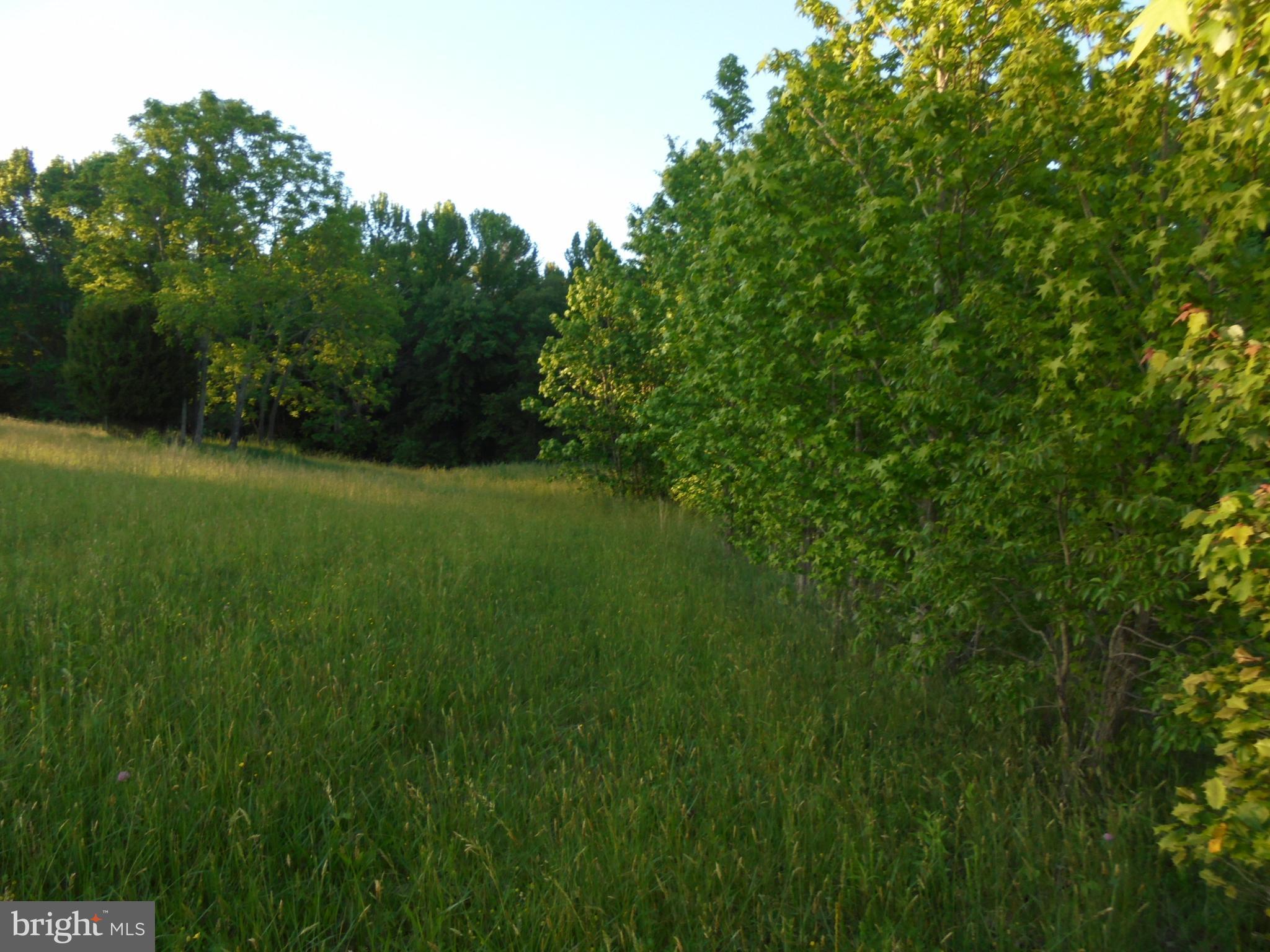 NONE AVAILABLE - Land