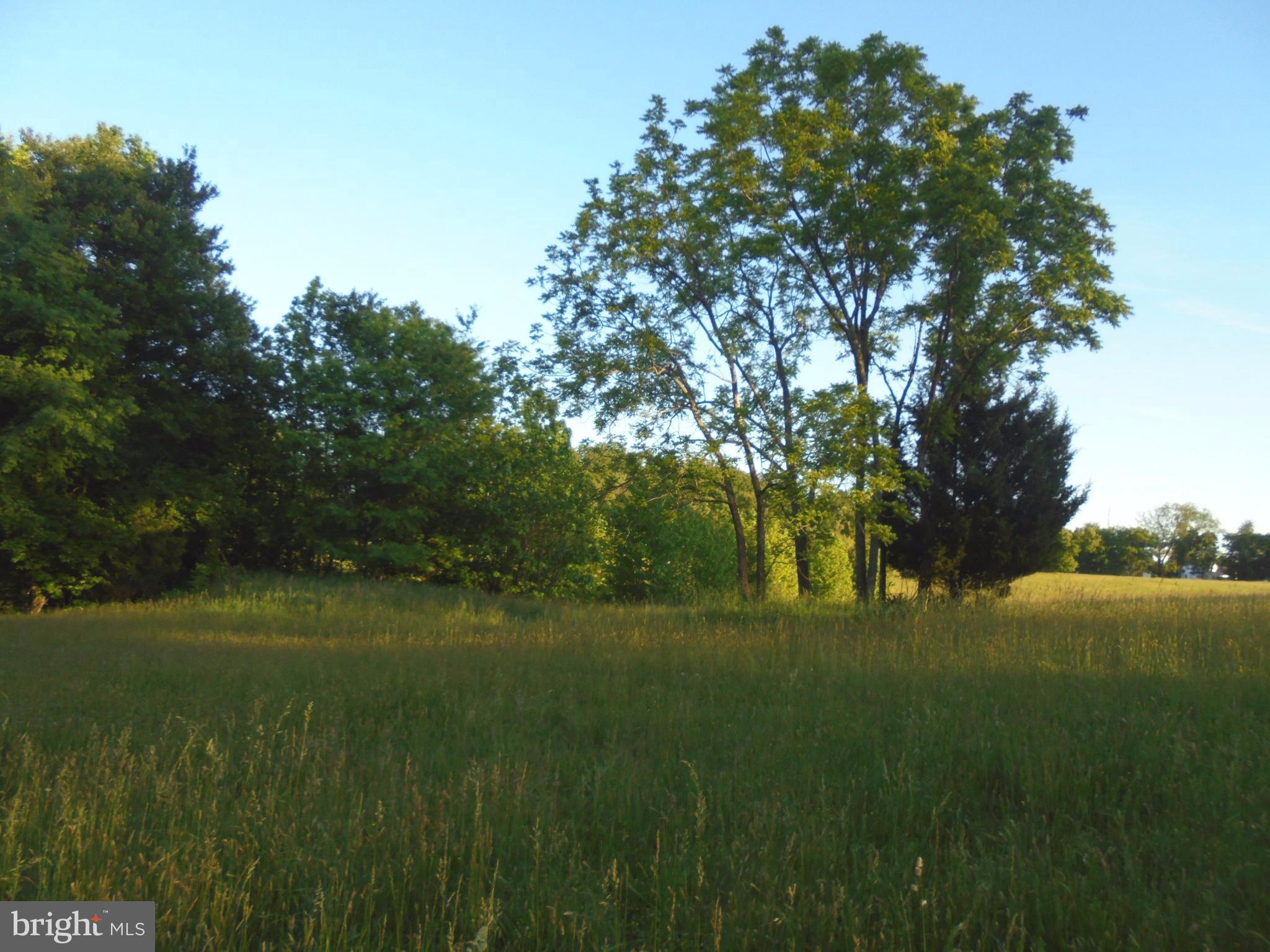 NONE AVAILABLE - Land