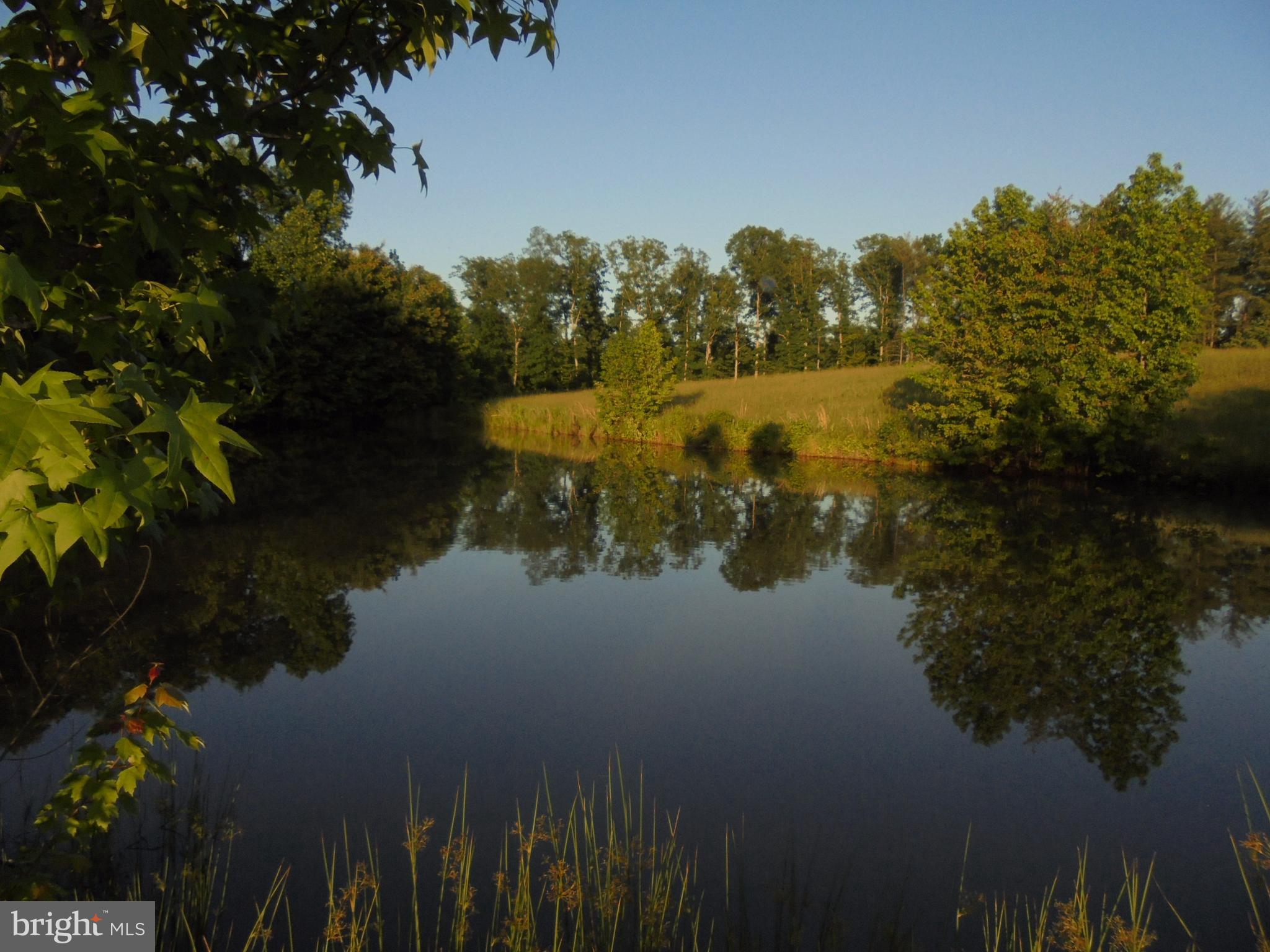 NONE AVAILABLE - Land