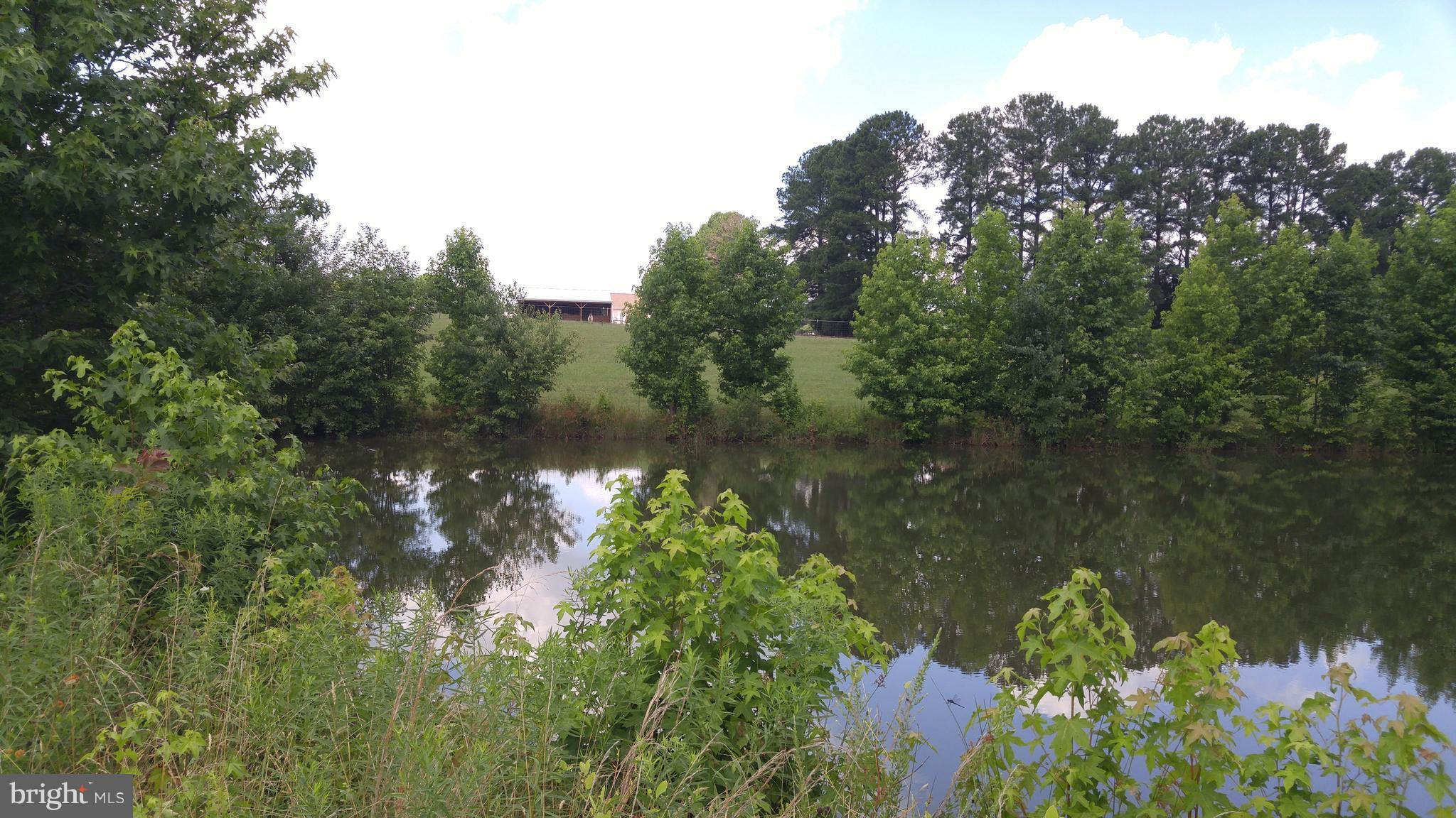 NONE AVAILABLE - Land