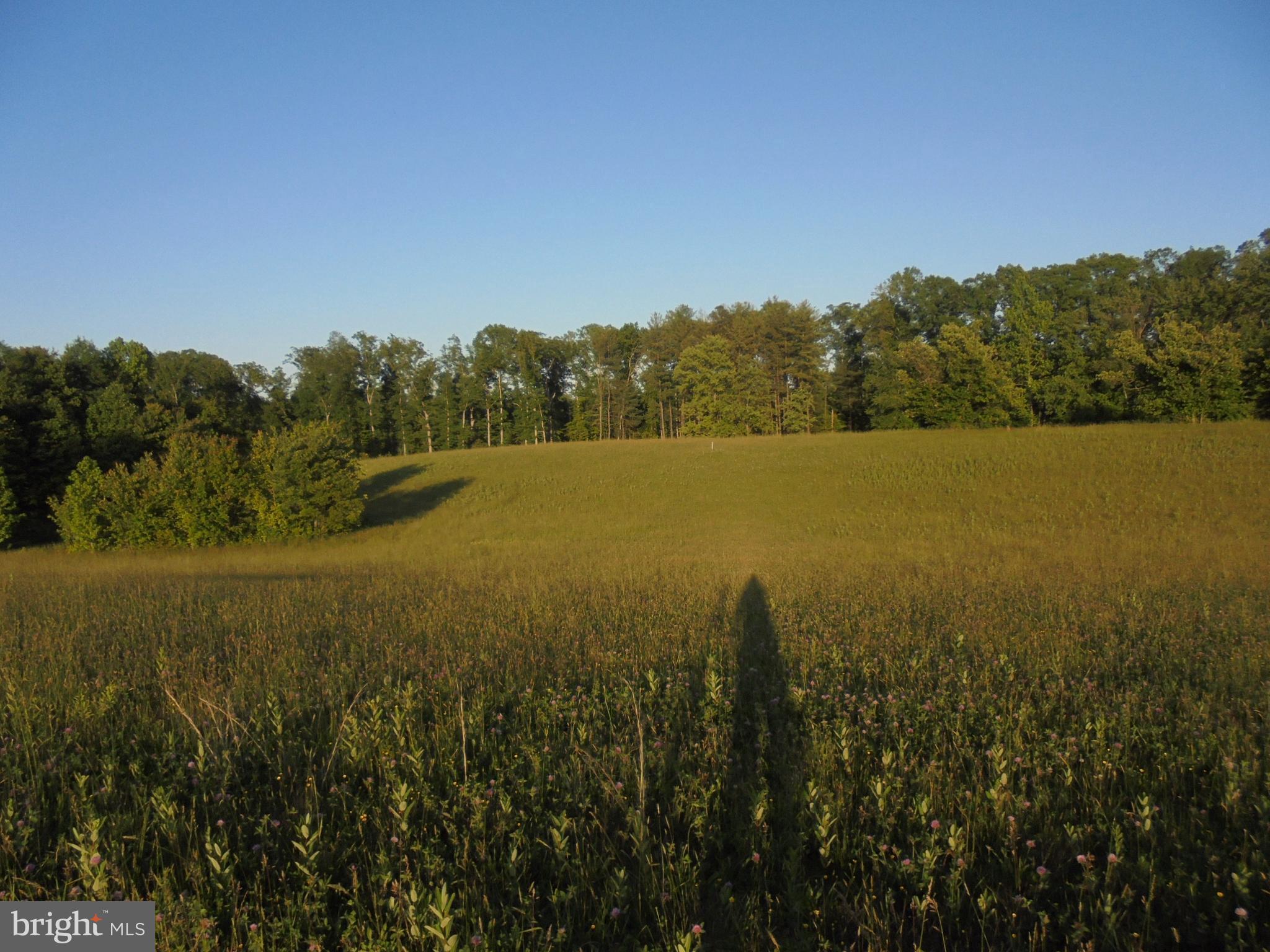 NONE AVAILABLE - Land