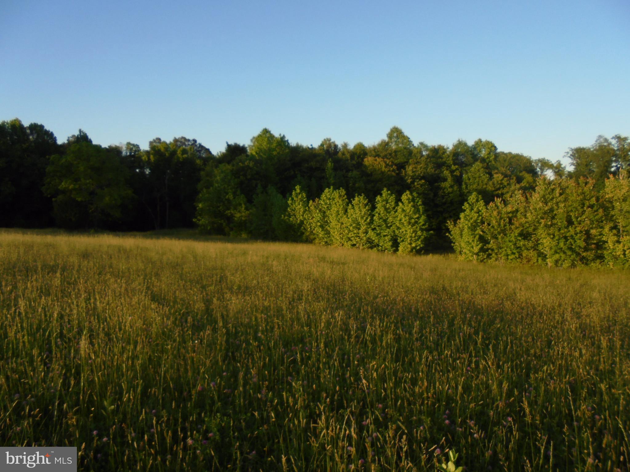 NONE AVAILABLE - Land