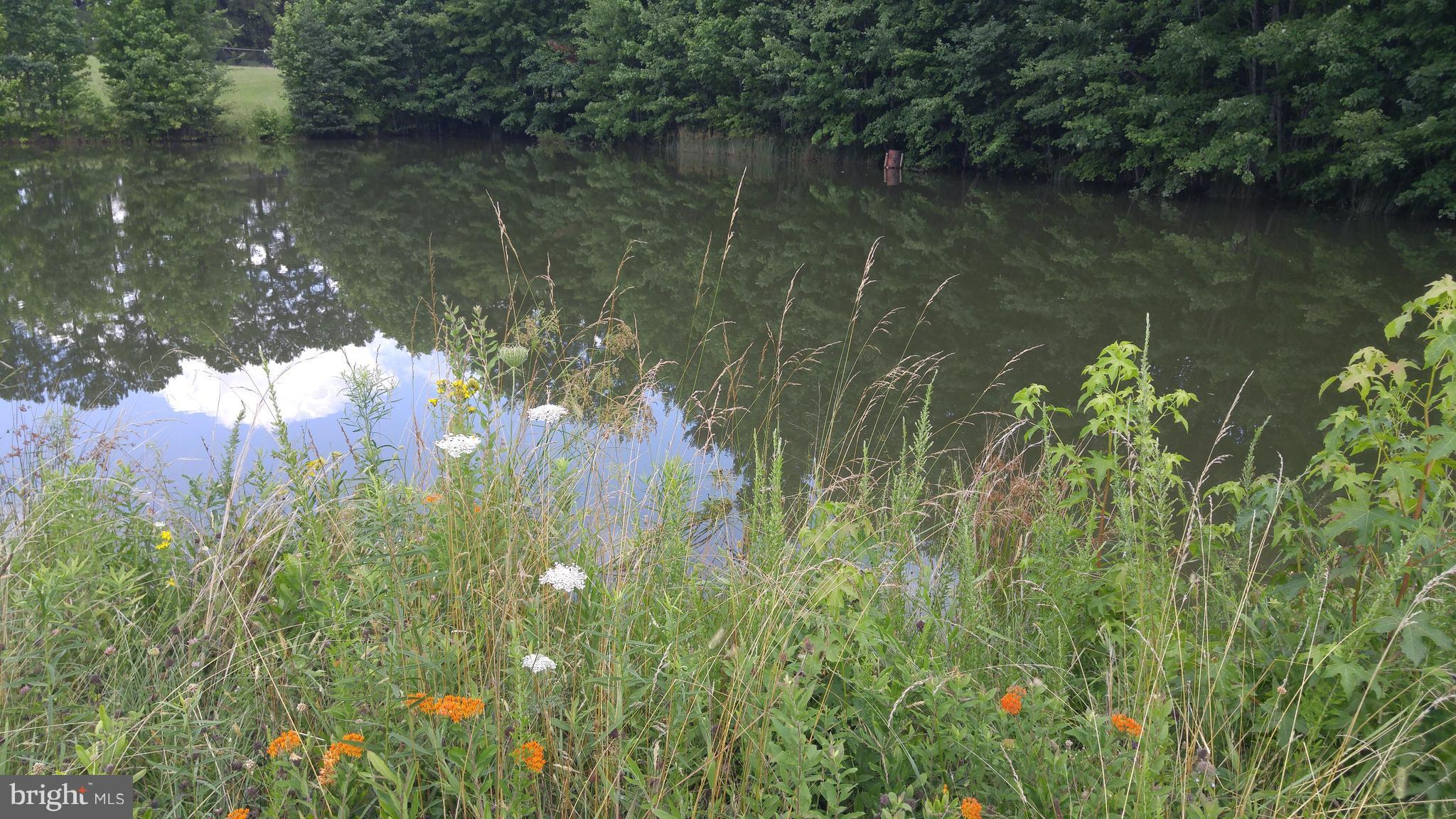 NONE AVAILABLE - Land