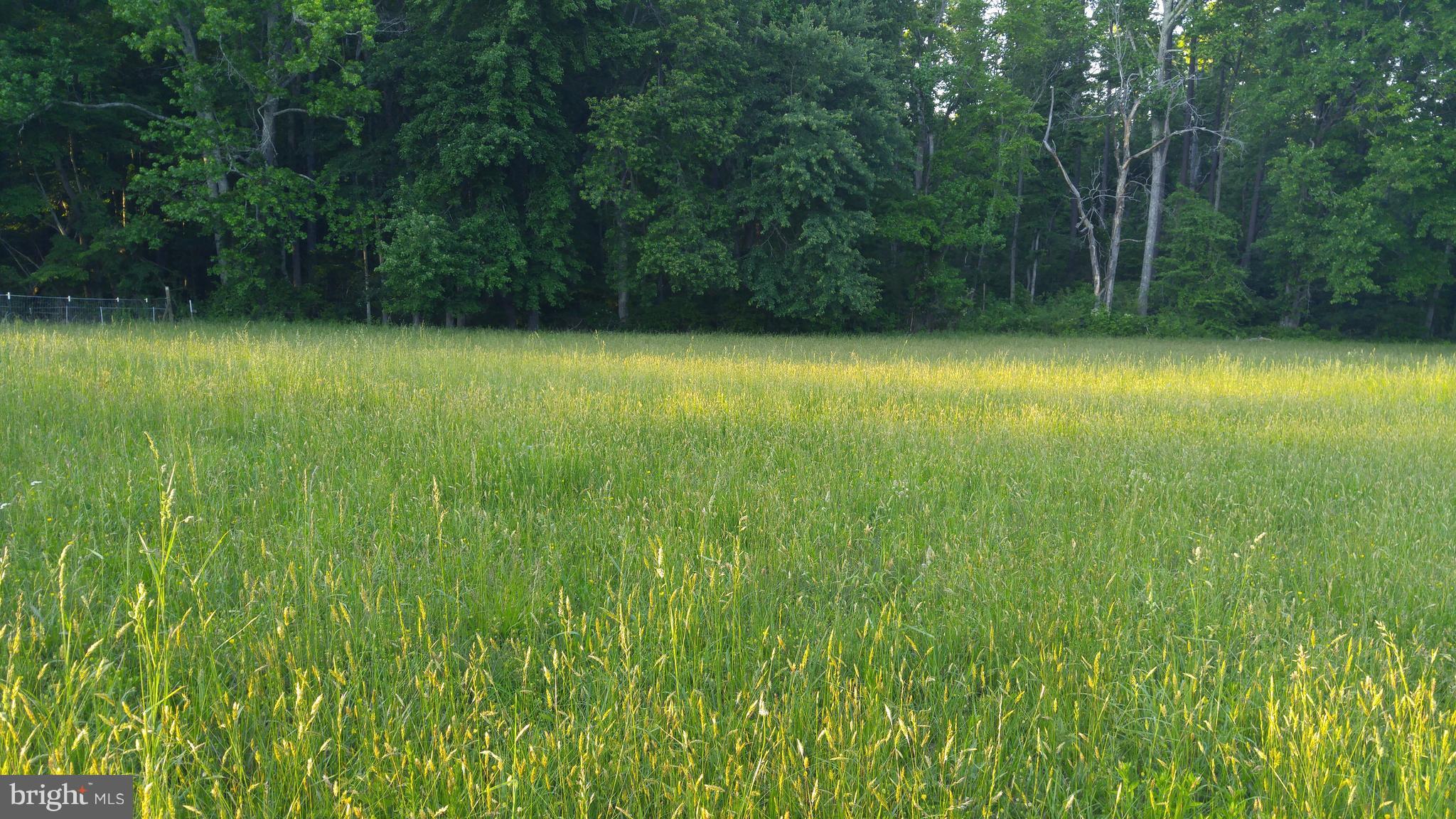 NONE AVAILABLE - Land