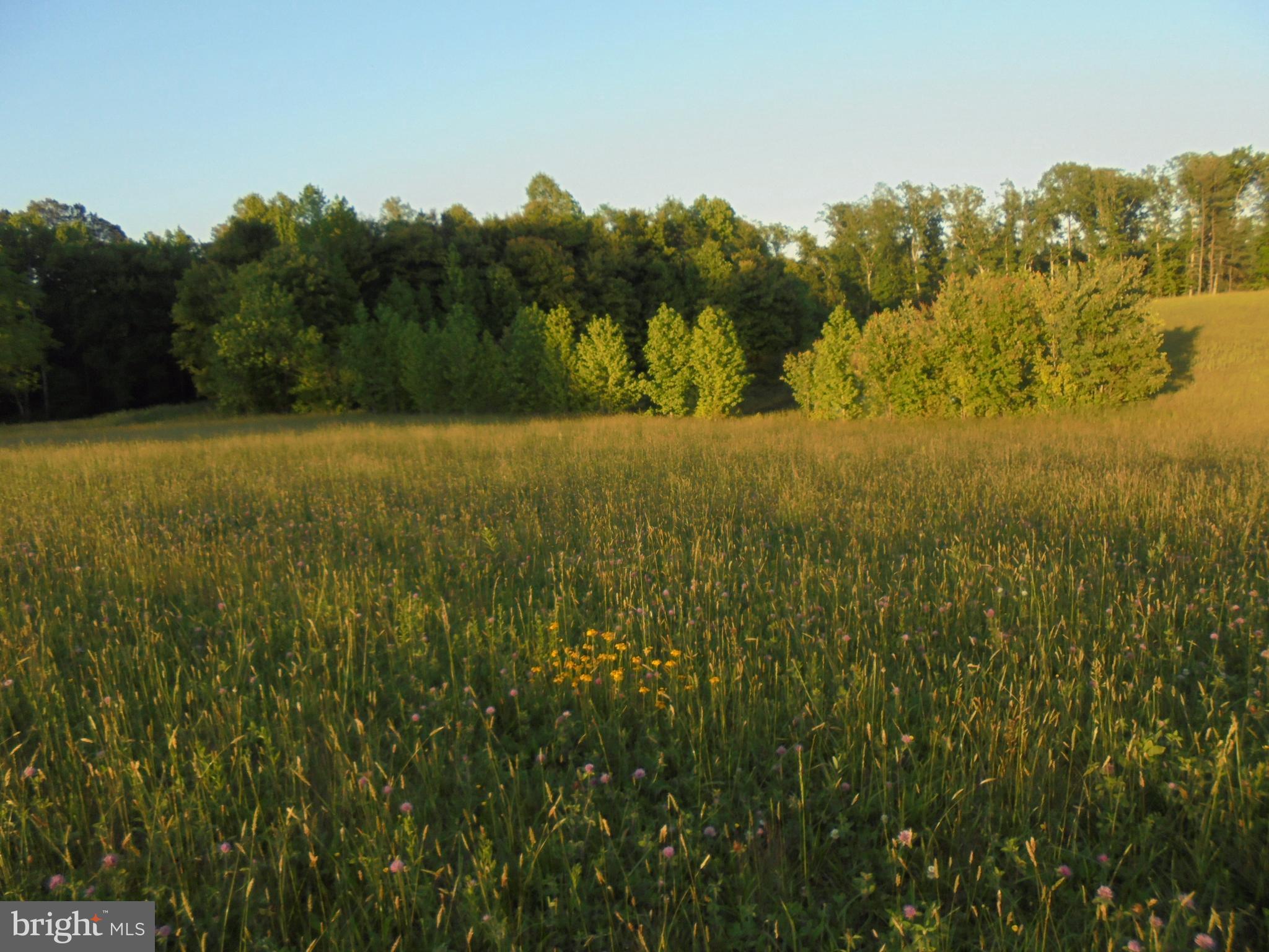 NONE AVAILABLE - Land