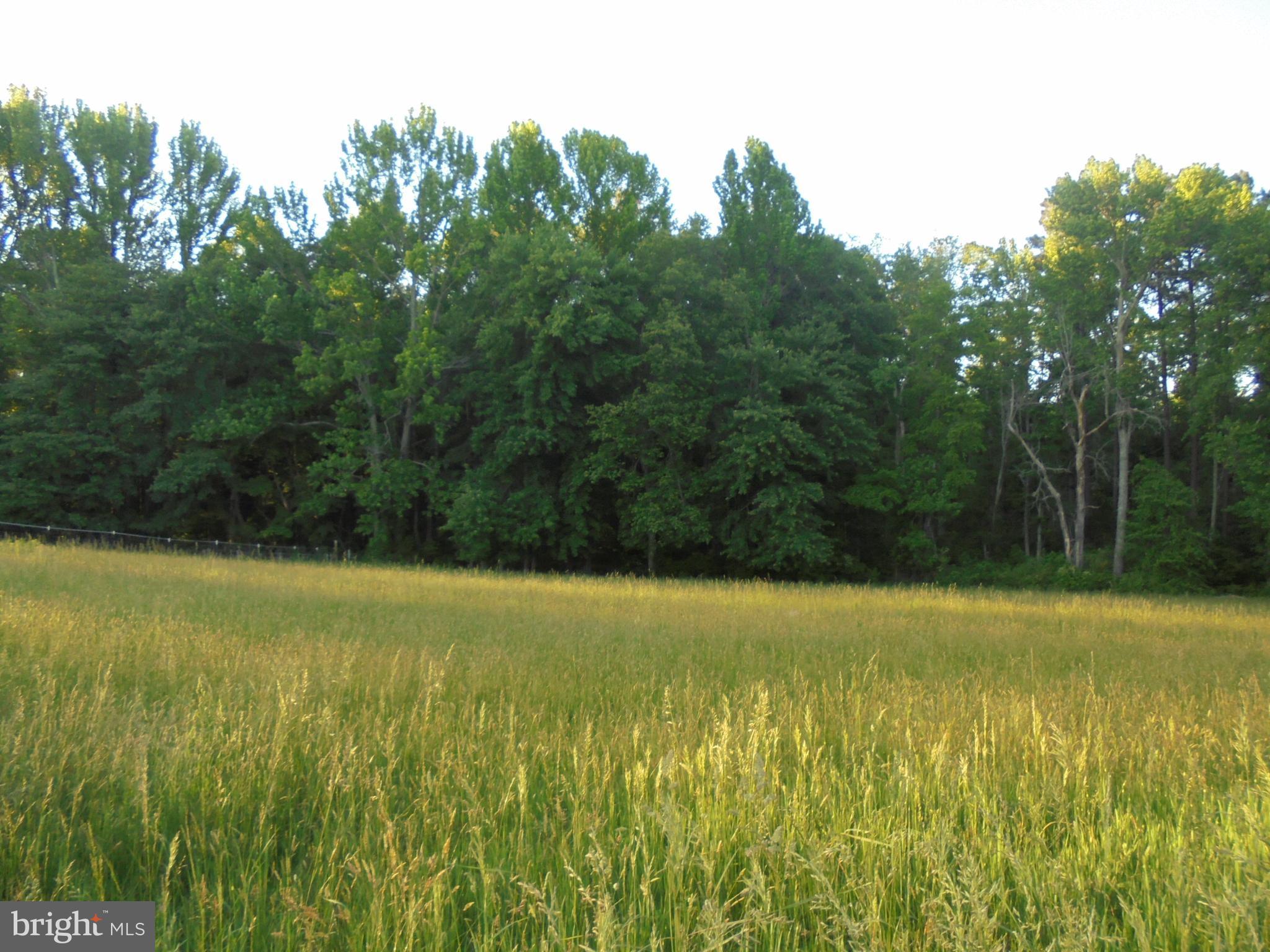 NONE AVAILABLE - Land