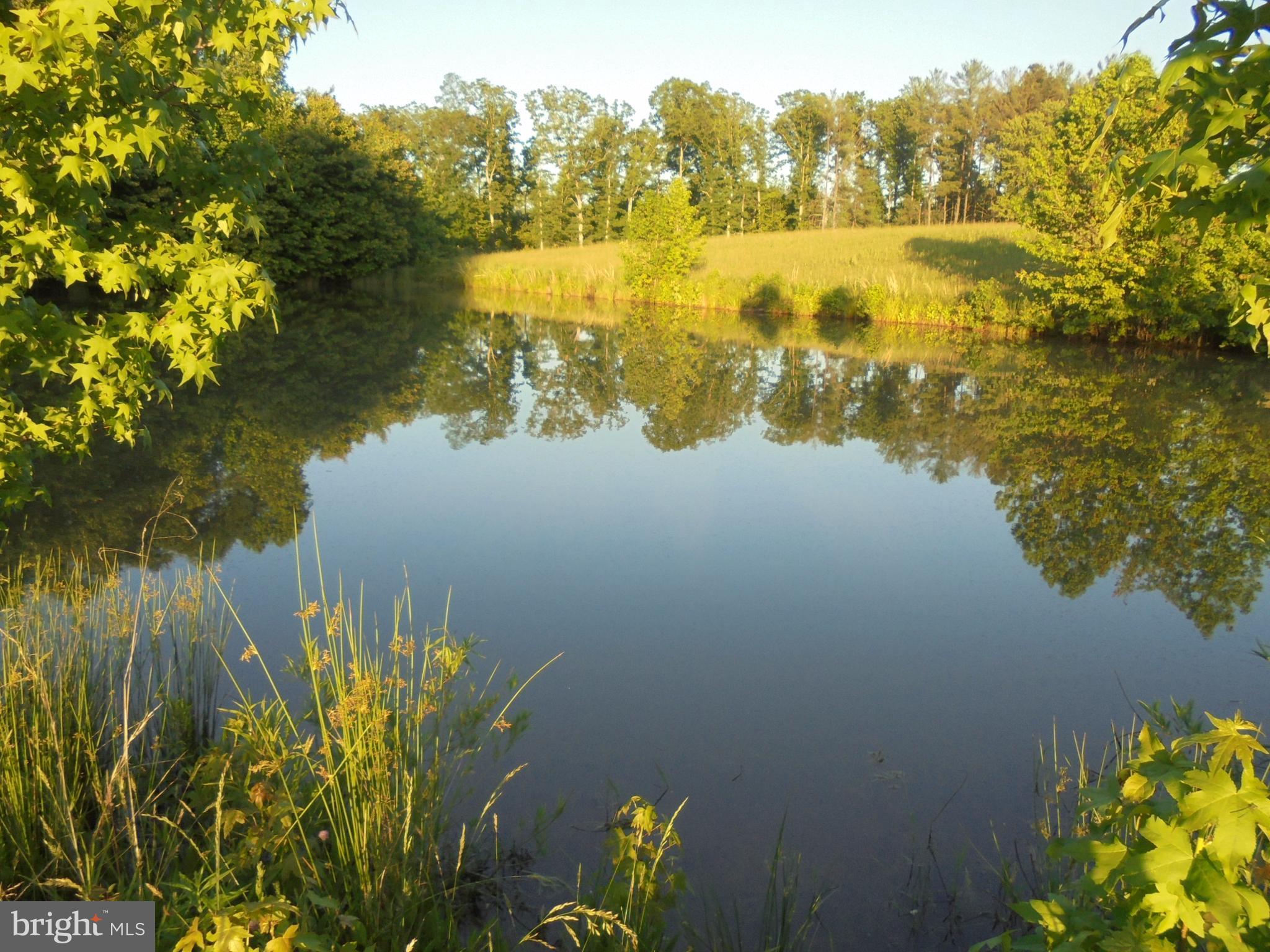 NONE AVAILABLE - Land