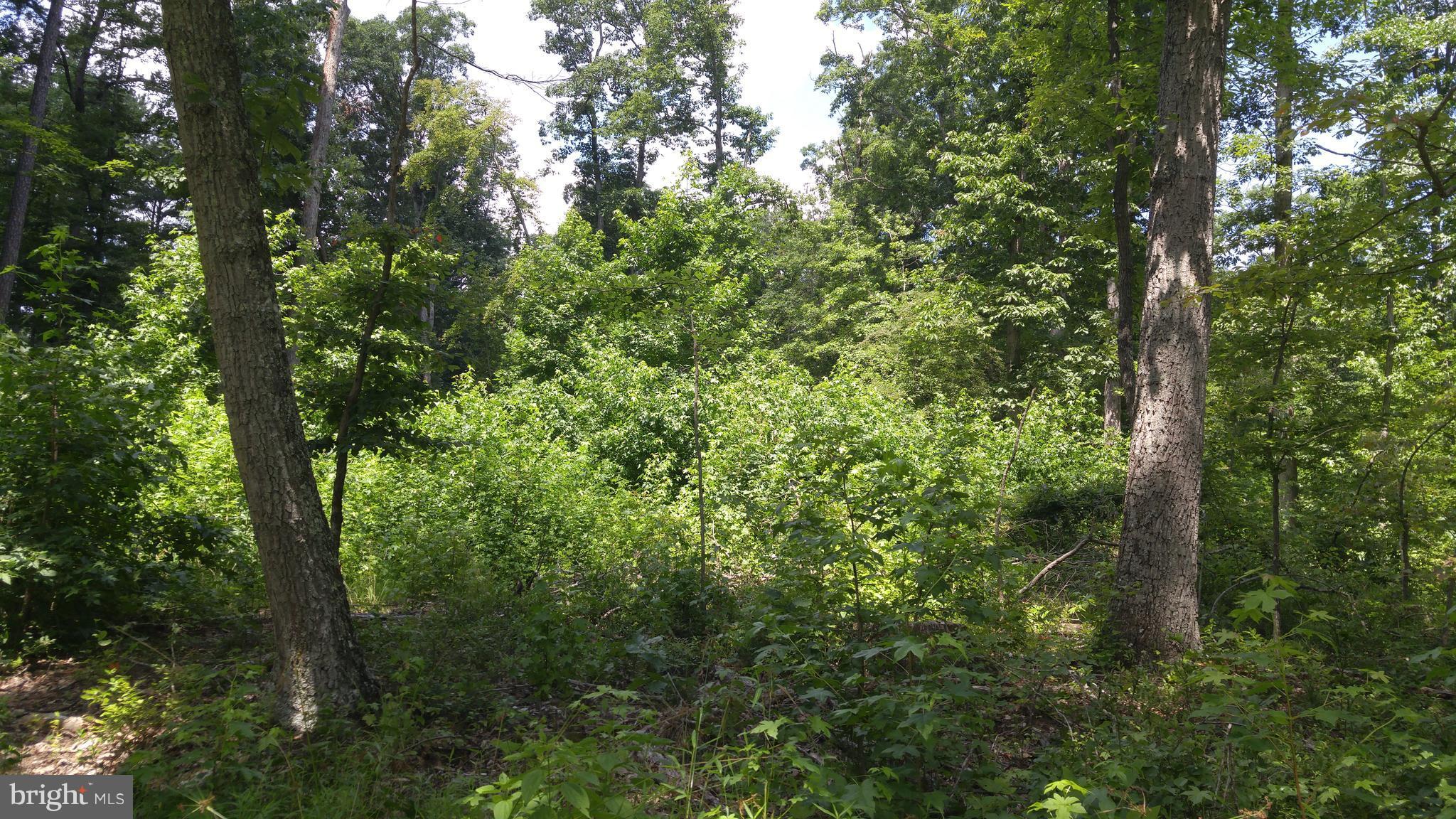 NONE AVAILABLE - Land