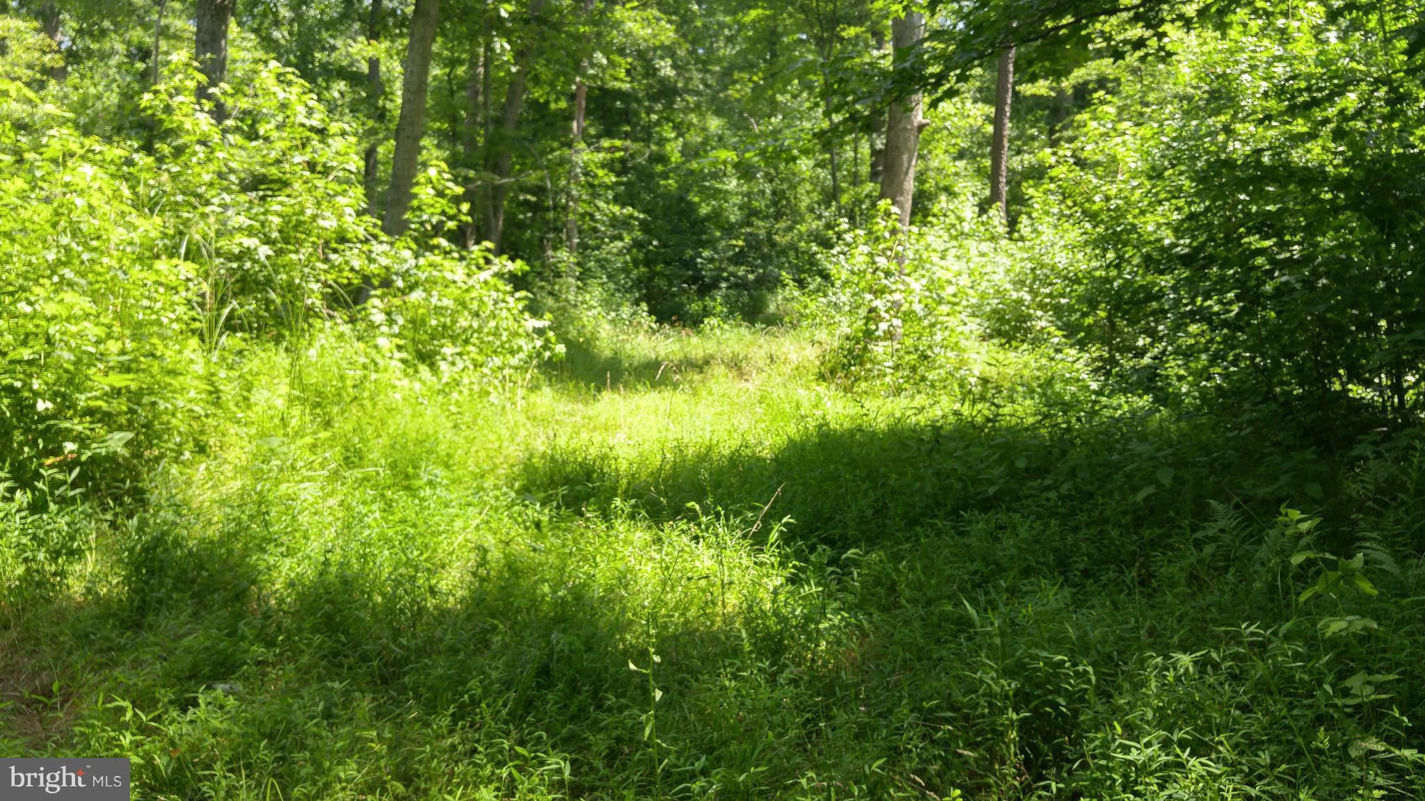 NONE AVAILABLE - Land