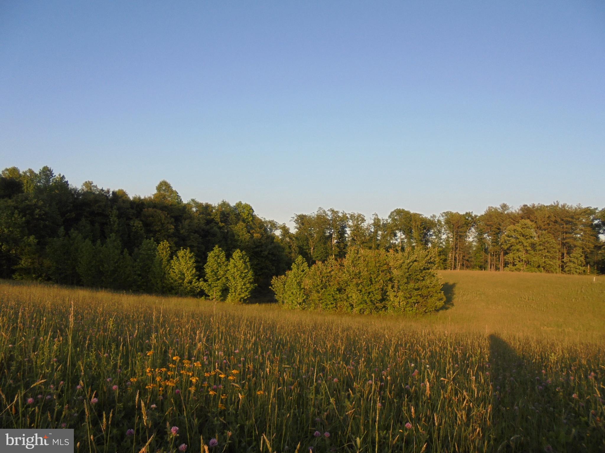 NONE AVAILABLE - Land