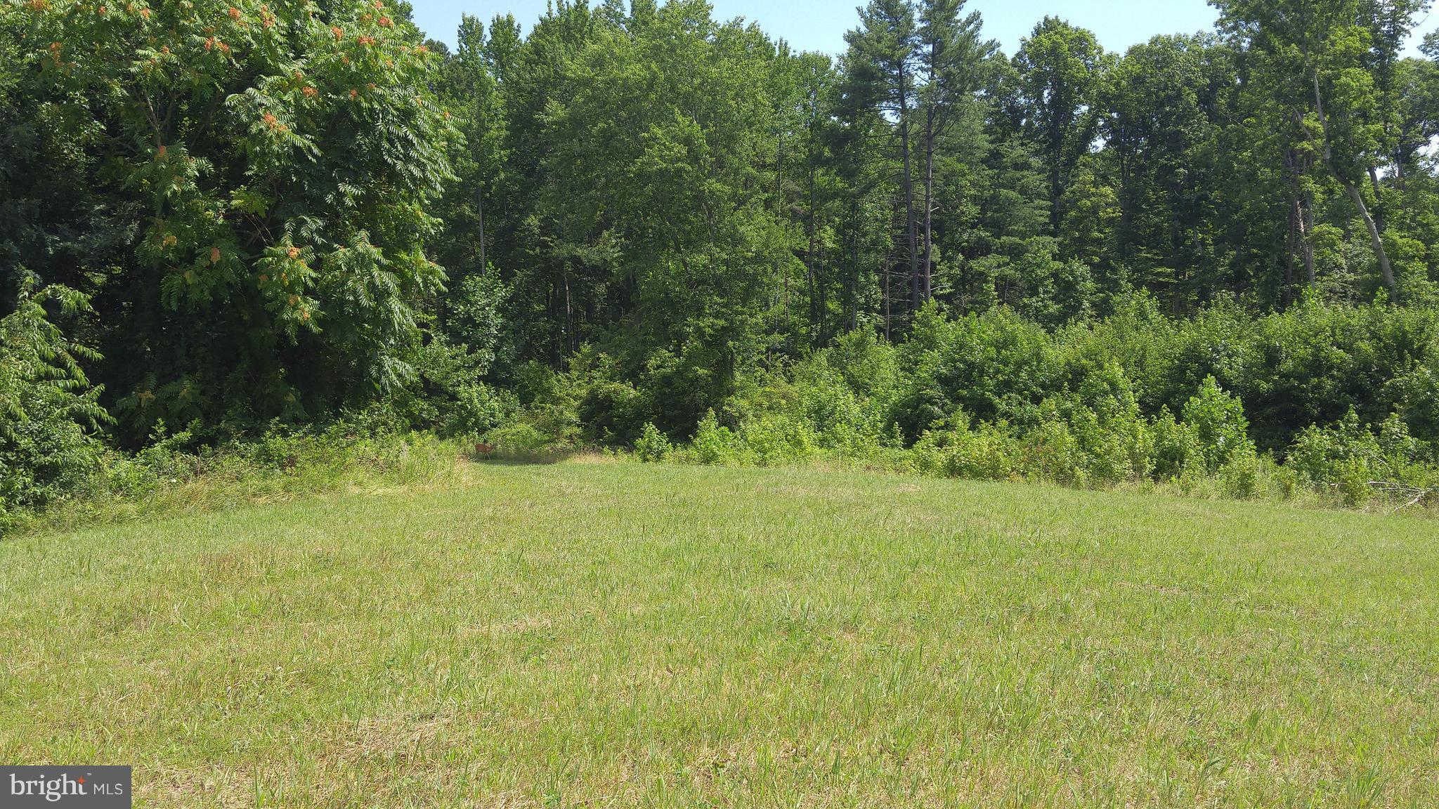 NONE AVAILABLE - Land