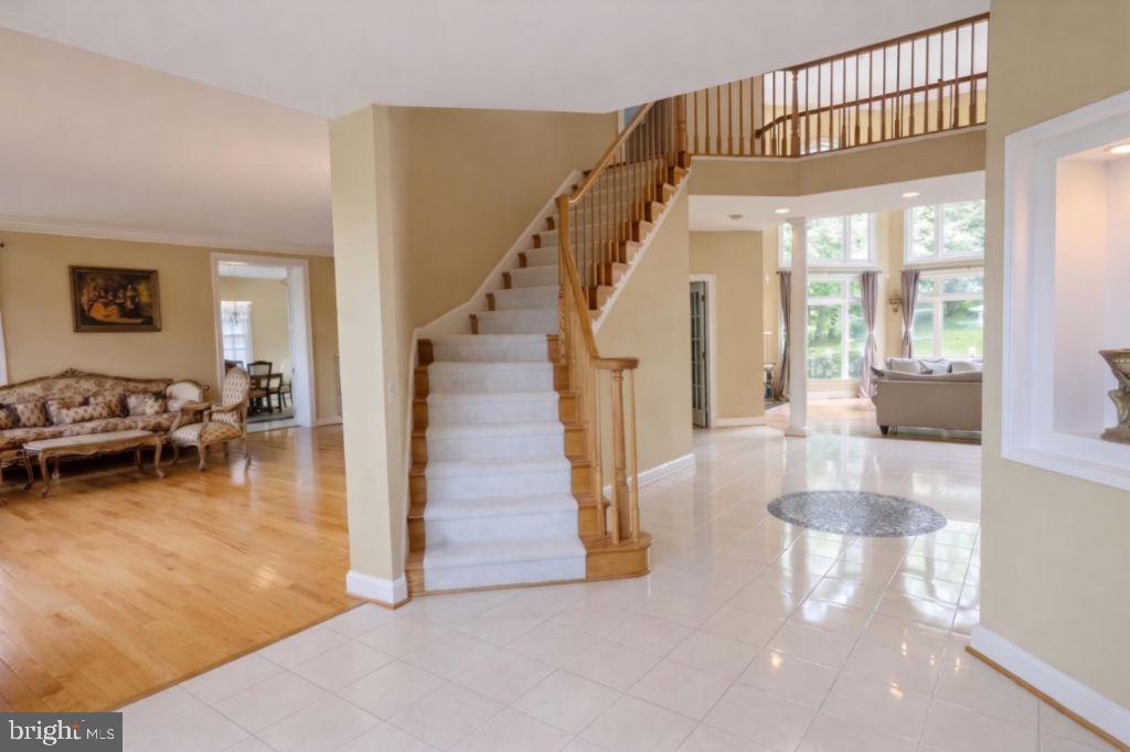 40911 ALYSHEBA DRIVE