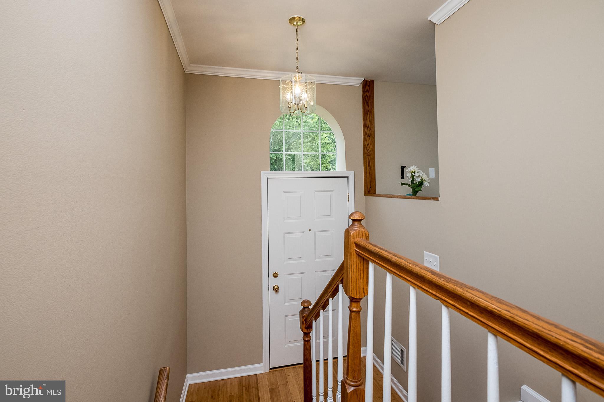 CLARY'S FOREST - Residential