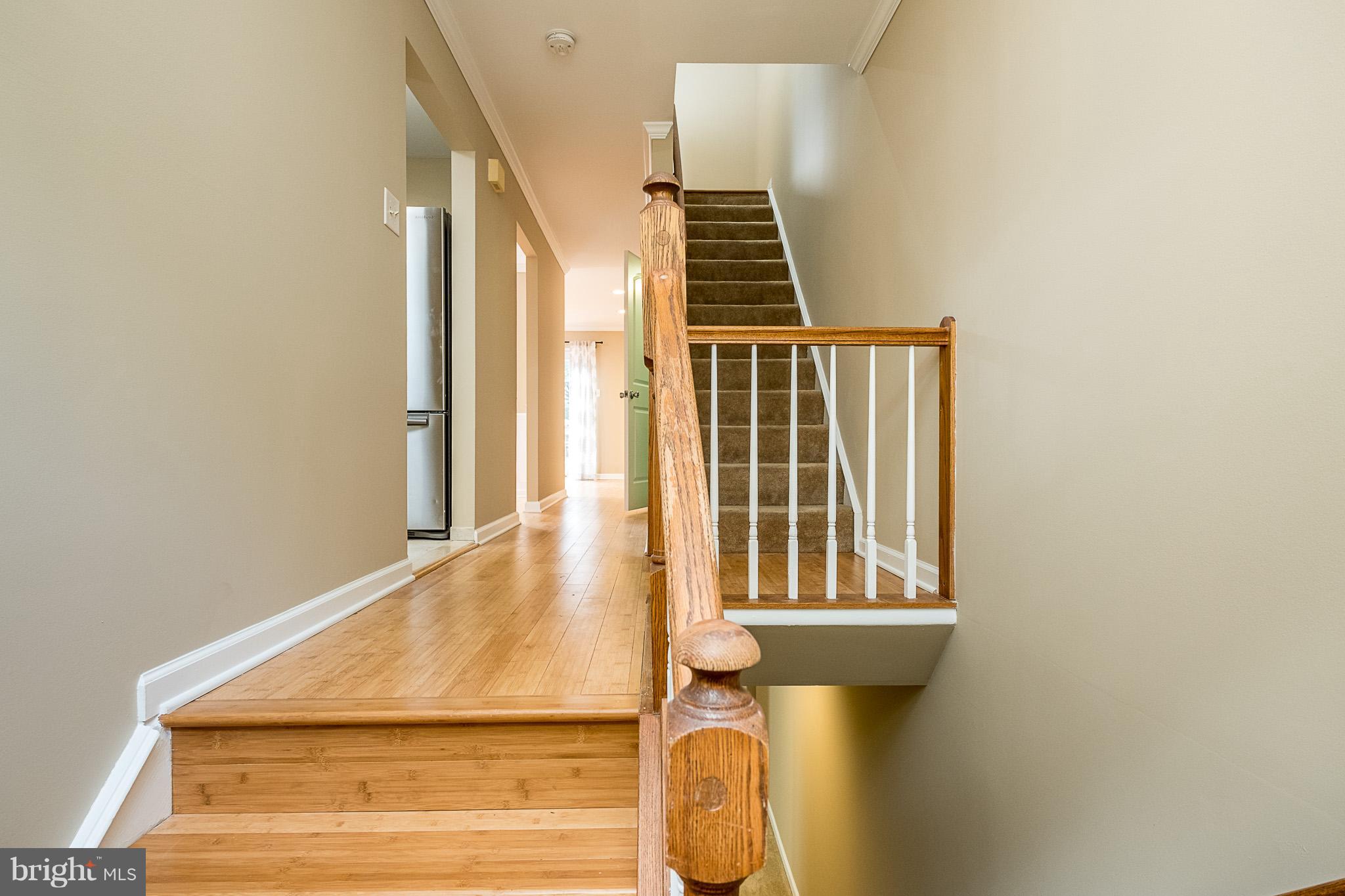 CLARY'S FOREST - Residential