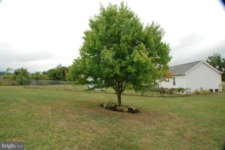 FORT HILL FARMS - Residential