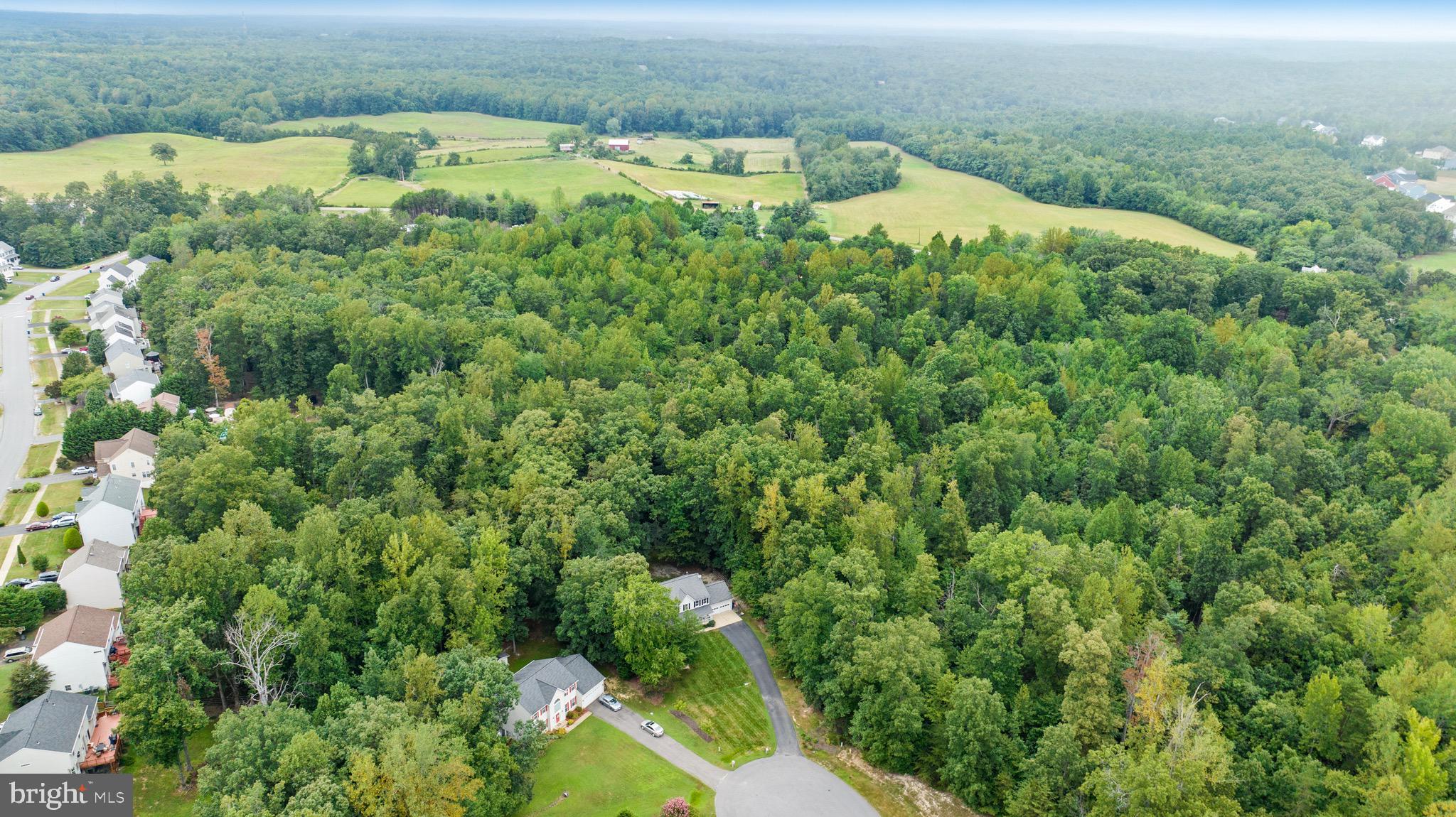CARDINAL FOREST - Residential