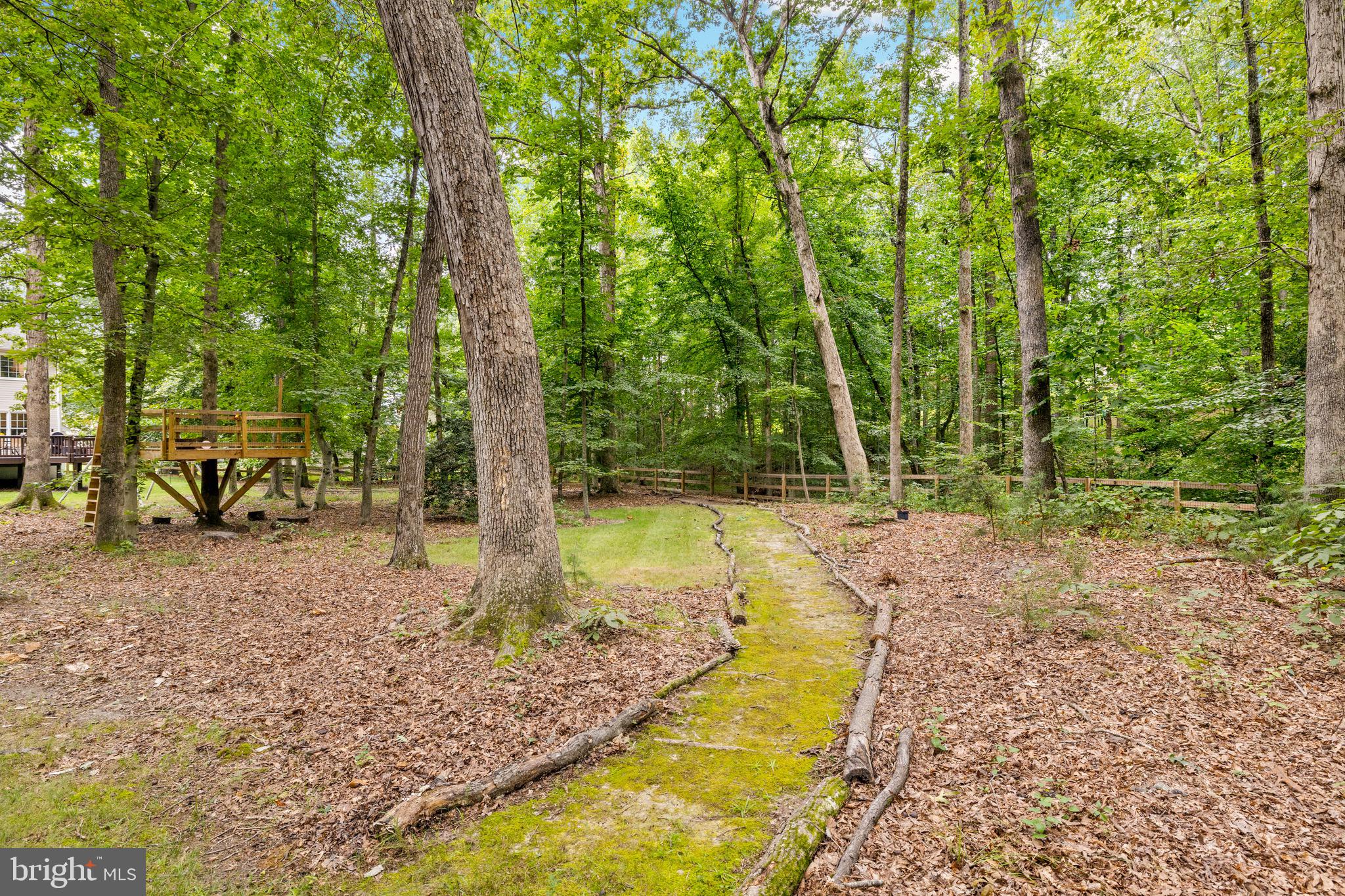 CARDINAL FOREST - Residential
