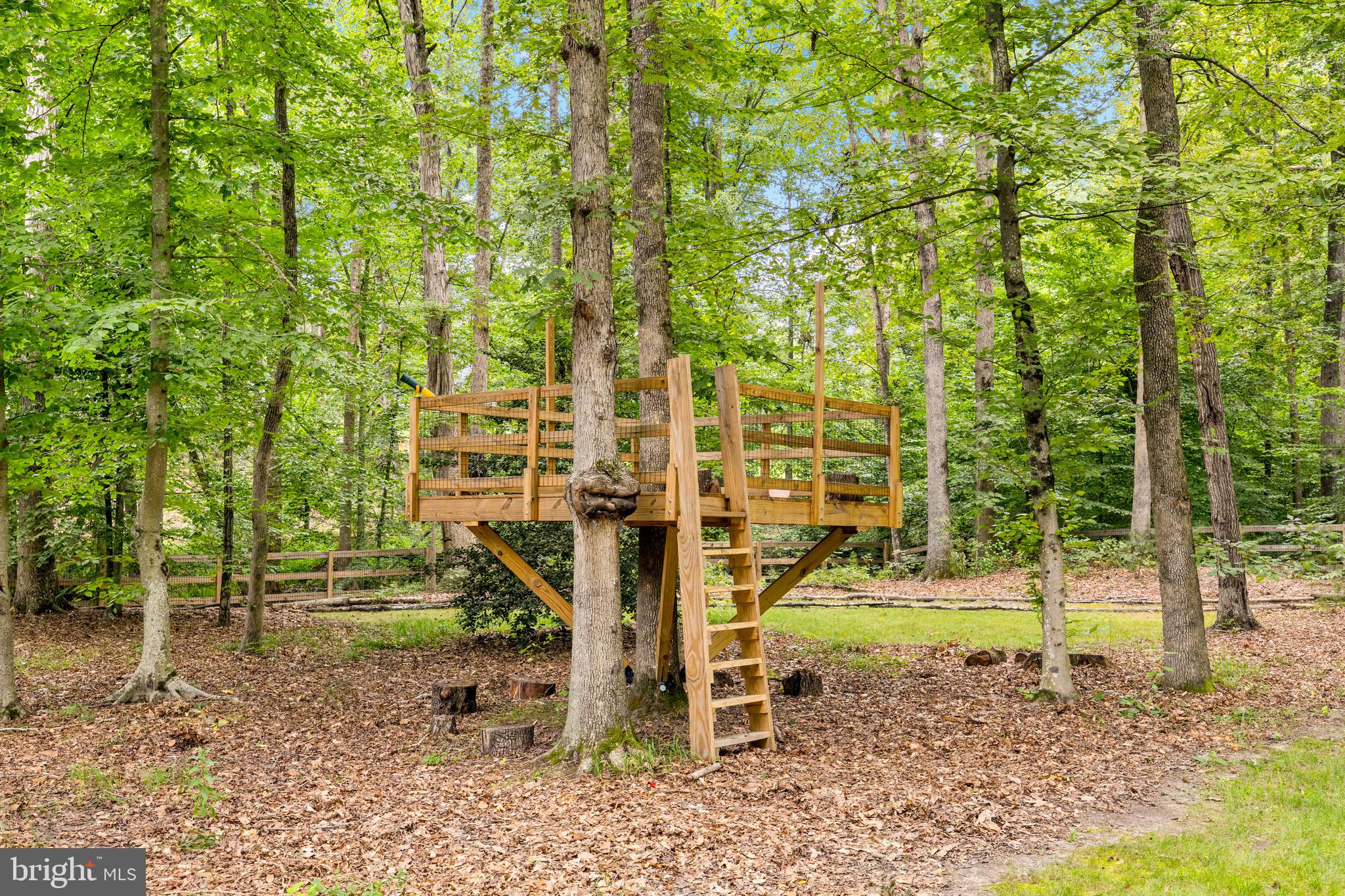 CARDINAL FOREST - Residential