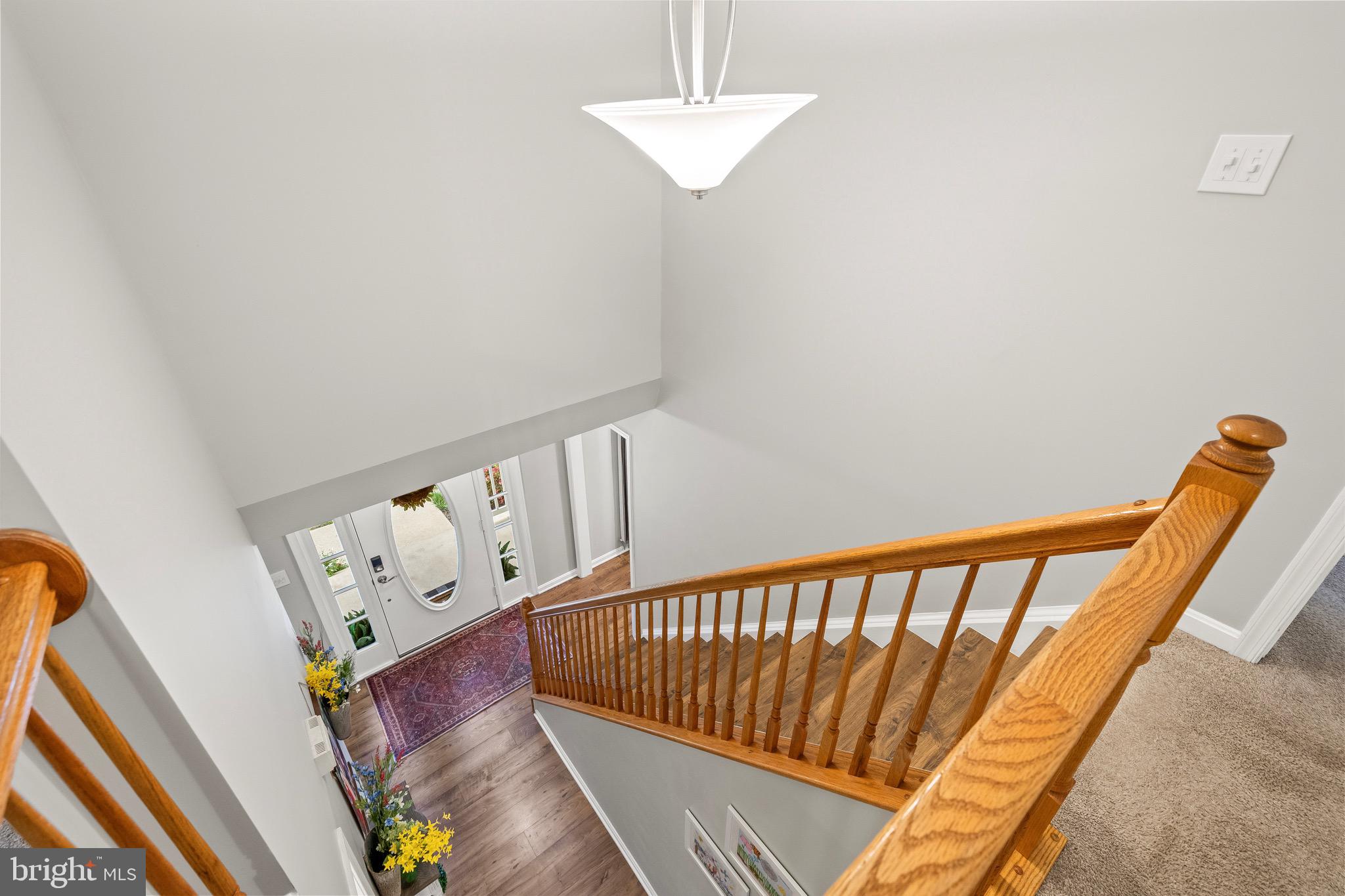 CARDINAL FOREST - Residential