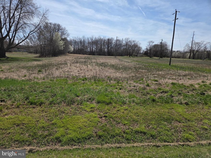 Gently Rolling large in town lot on quiet Road in Willards. This 19,247 sf lot is cleared and ready to build.
Did I mention no HOA or builder tie-ins.....Conveniently located just around the corner from the Willards Elementary School and the Eastside recreational facility. All points at the coast are close, Ocean City, Fenwick, Bethany, Assateague are just minutes away. The same goes for Shorebirds Stadium, Shopping in Salisbury and Lower Delaware. Parking your boat, RV, or whatever! no problem.
