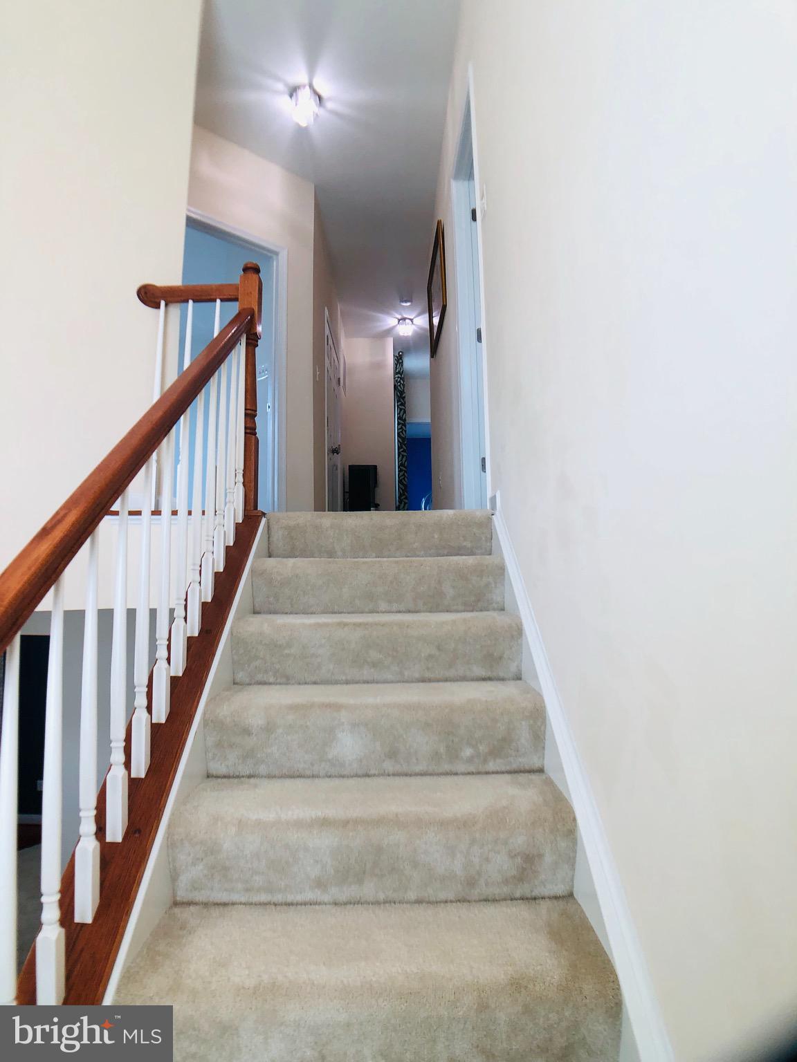 NORBORNE GLEBE - Residential