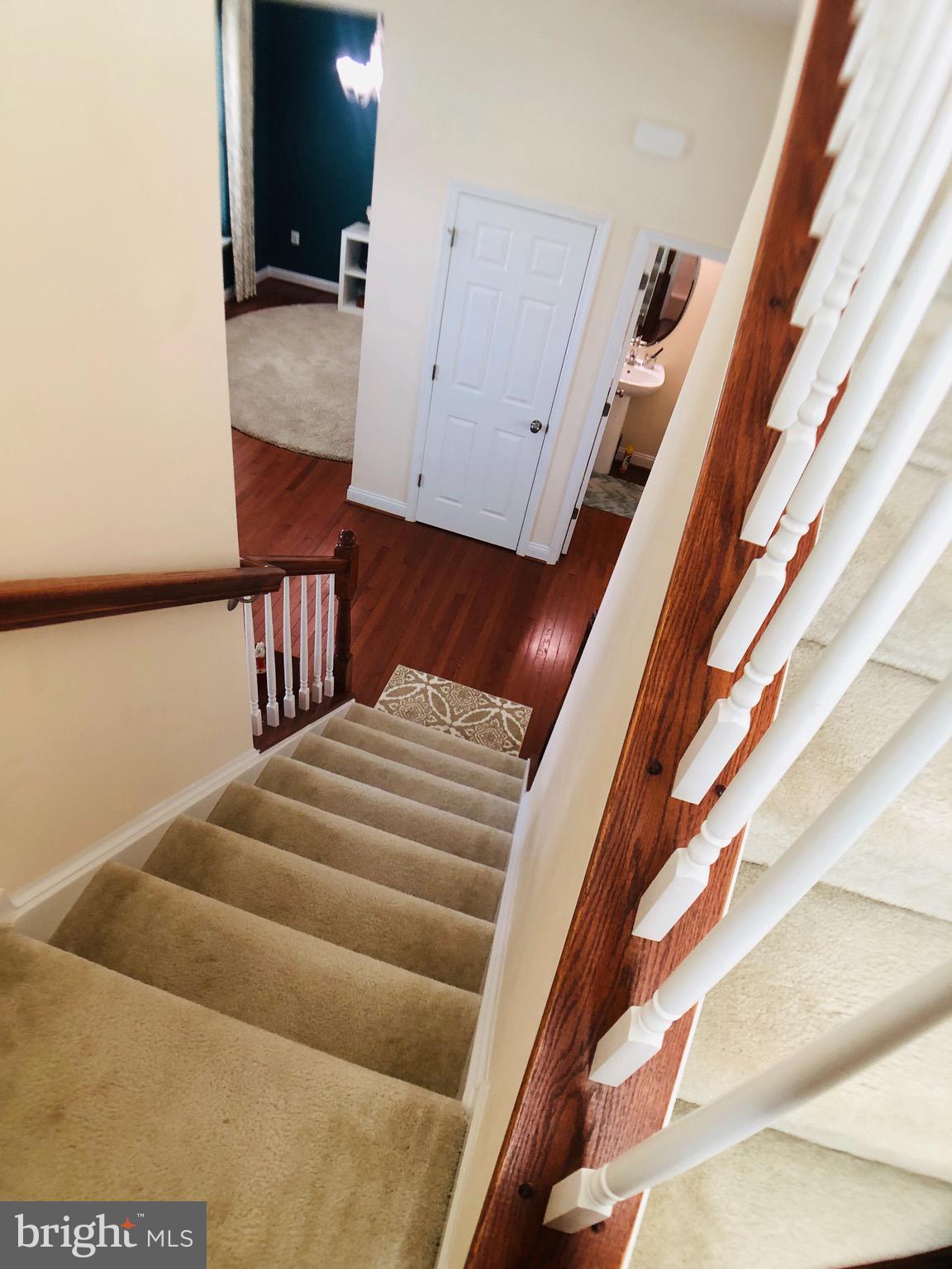 NORBORNE GLEBE - Residential