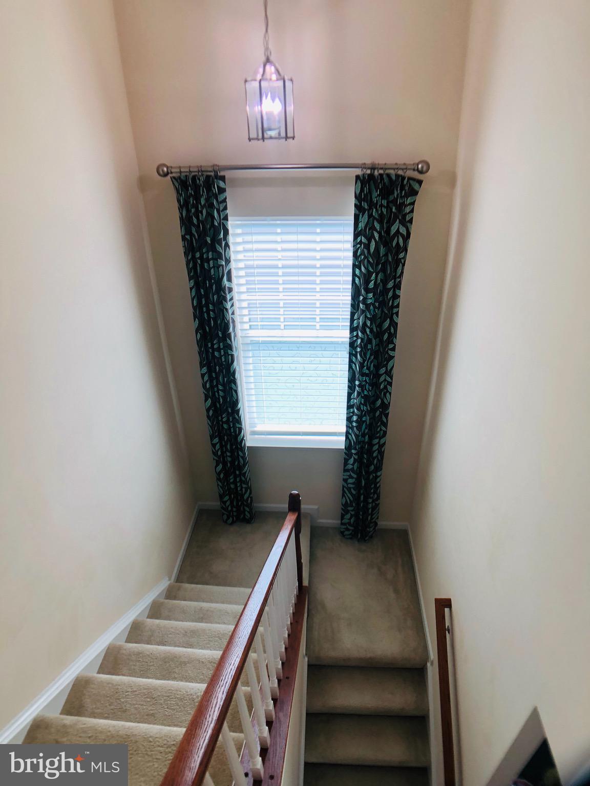 NORBORNE GLEBE - Residential