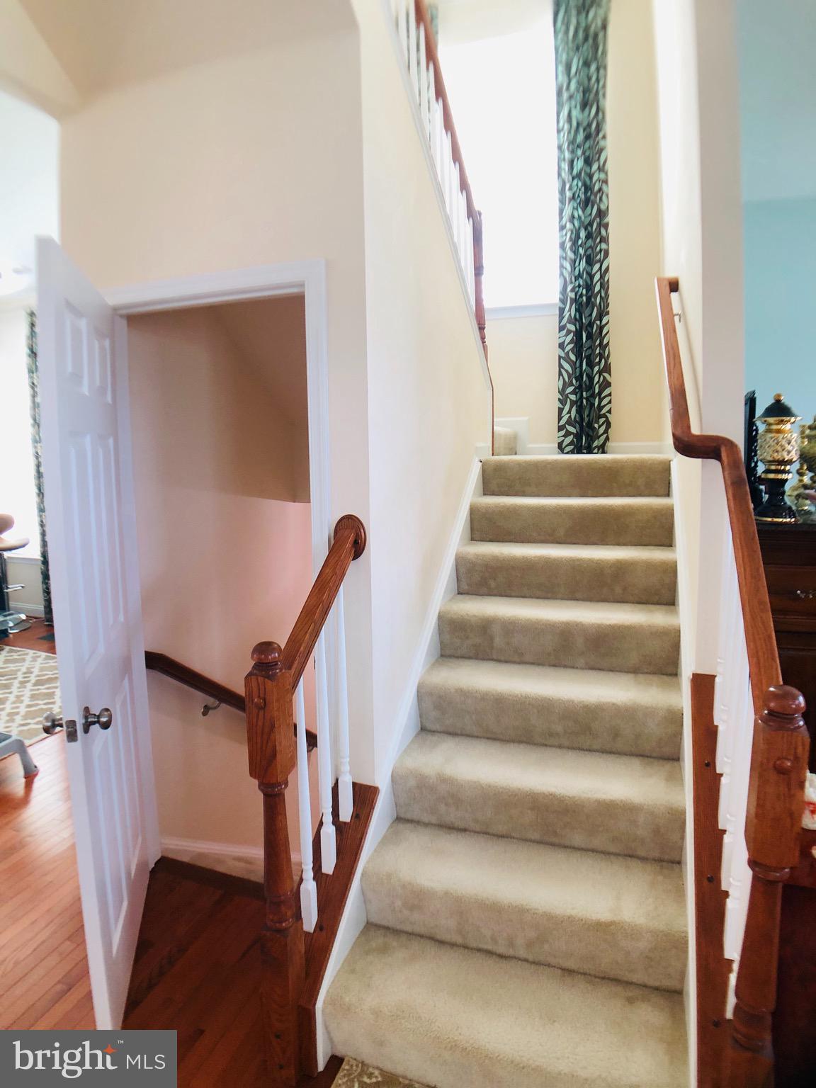 NORBORNE GLEBE - Residential