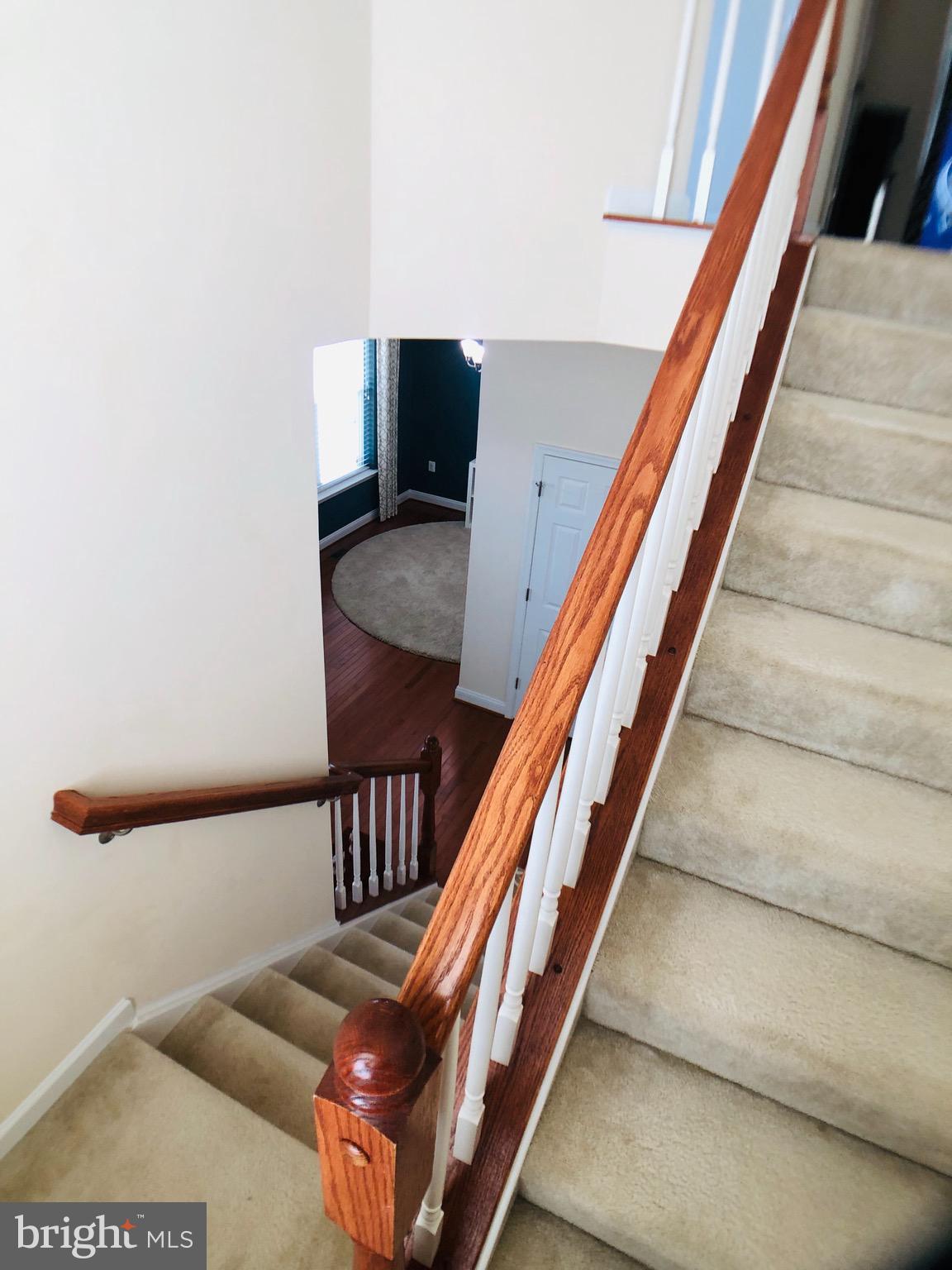 NORBORNE GLEBE - Residential