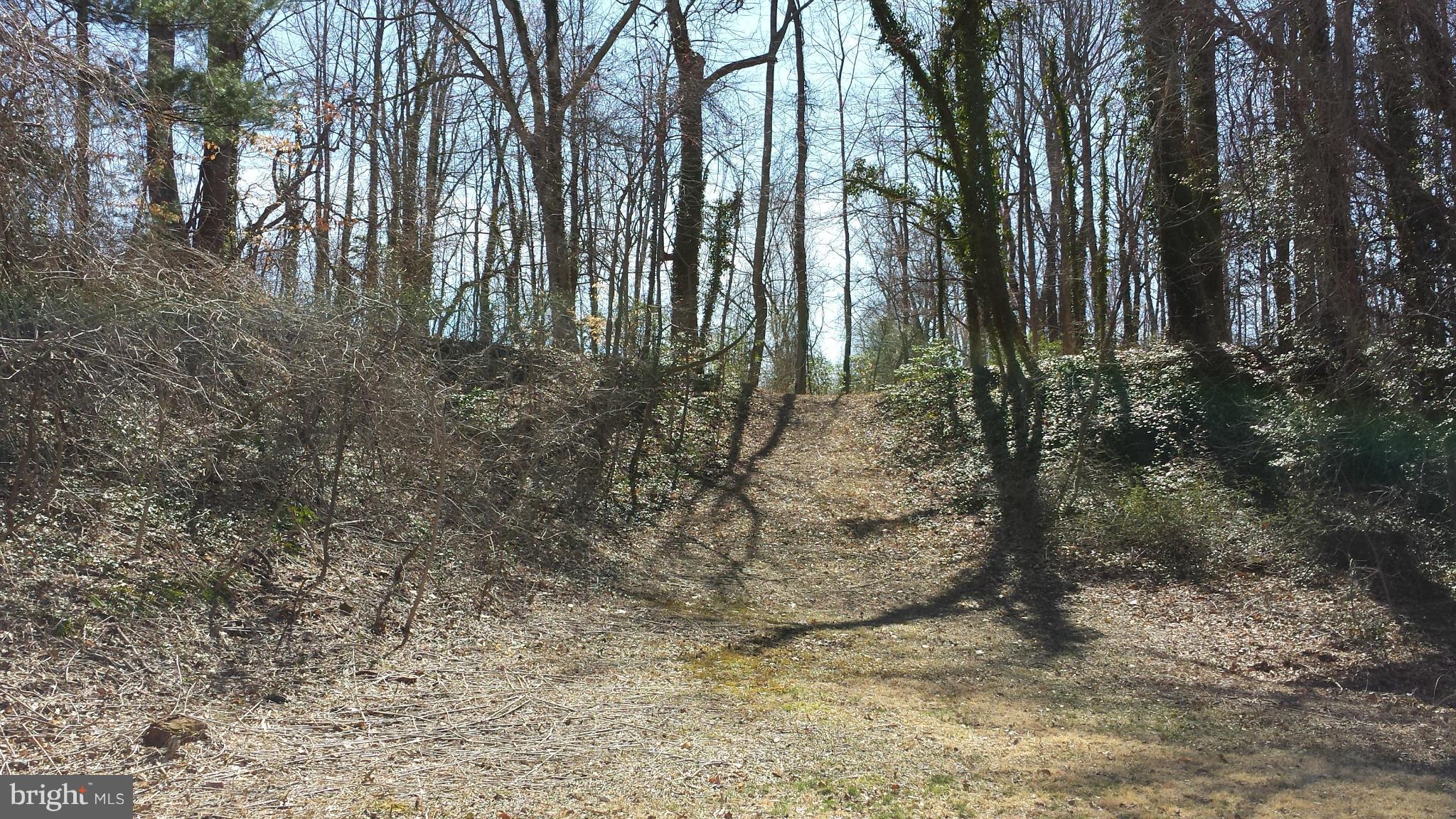 SYLVAN SHORES FOREST - Residential