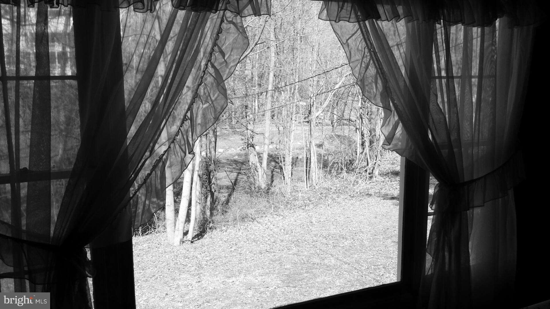 SYLVAN SHORES FOREST - Residential