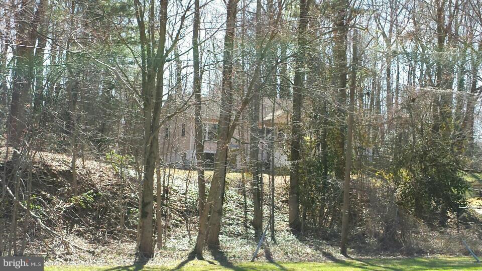 SYLVAN SHORES FOREST - Residential