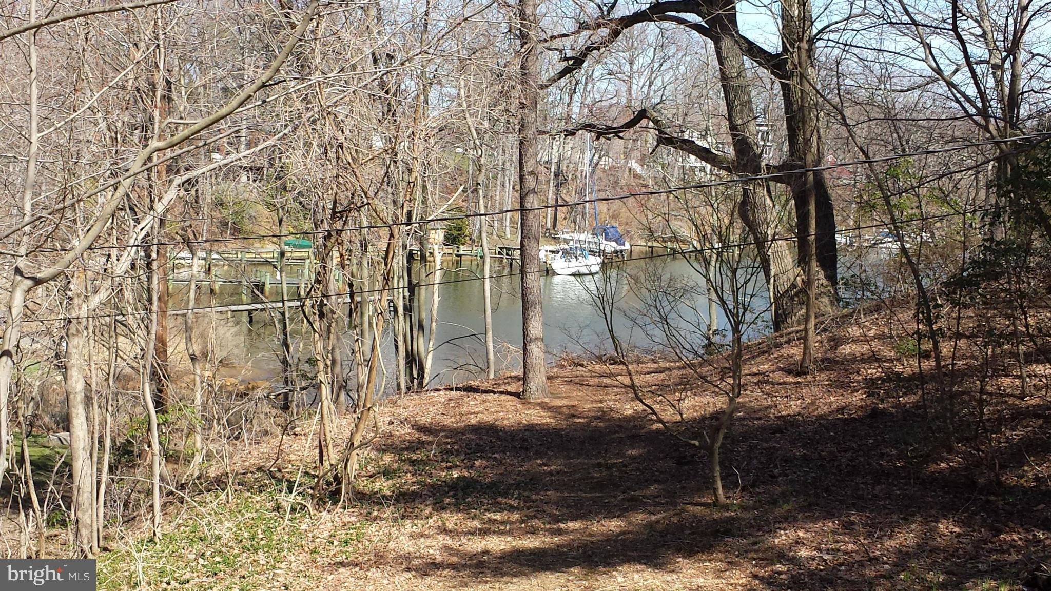 SYLVAN SHORES FOREST - Residential