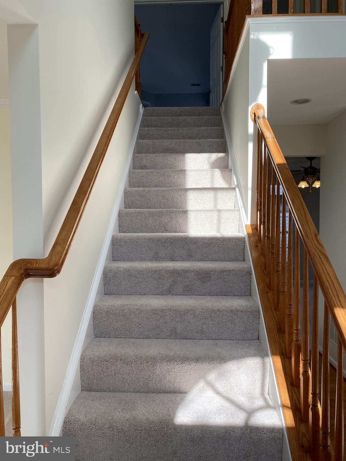 NEW TOWN MEADOWS - Residential