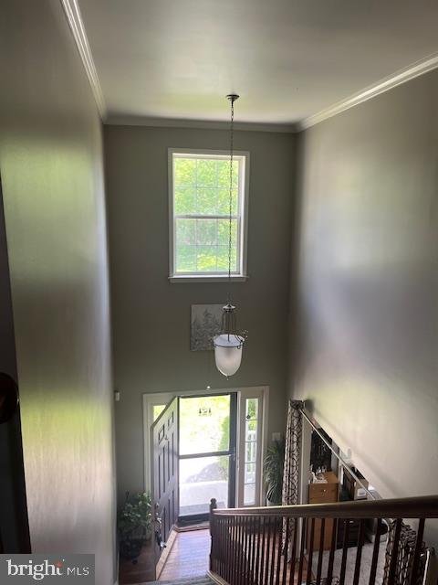 UPLAND ESTATES - Residential