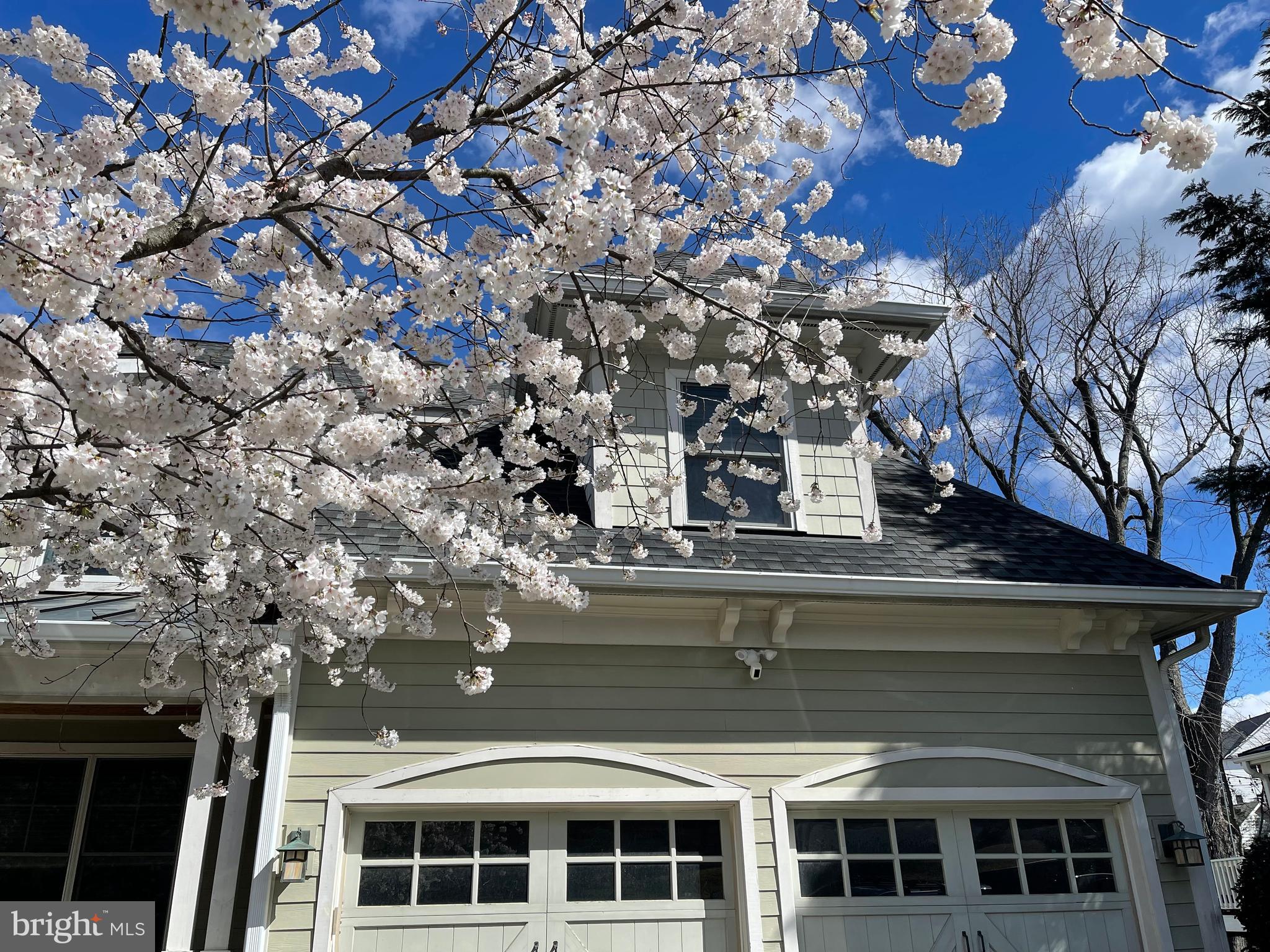 COUNTRY CLUB MANOR - Residential