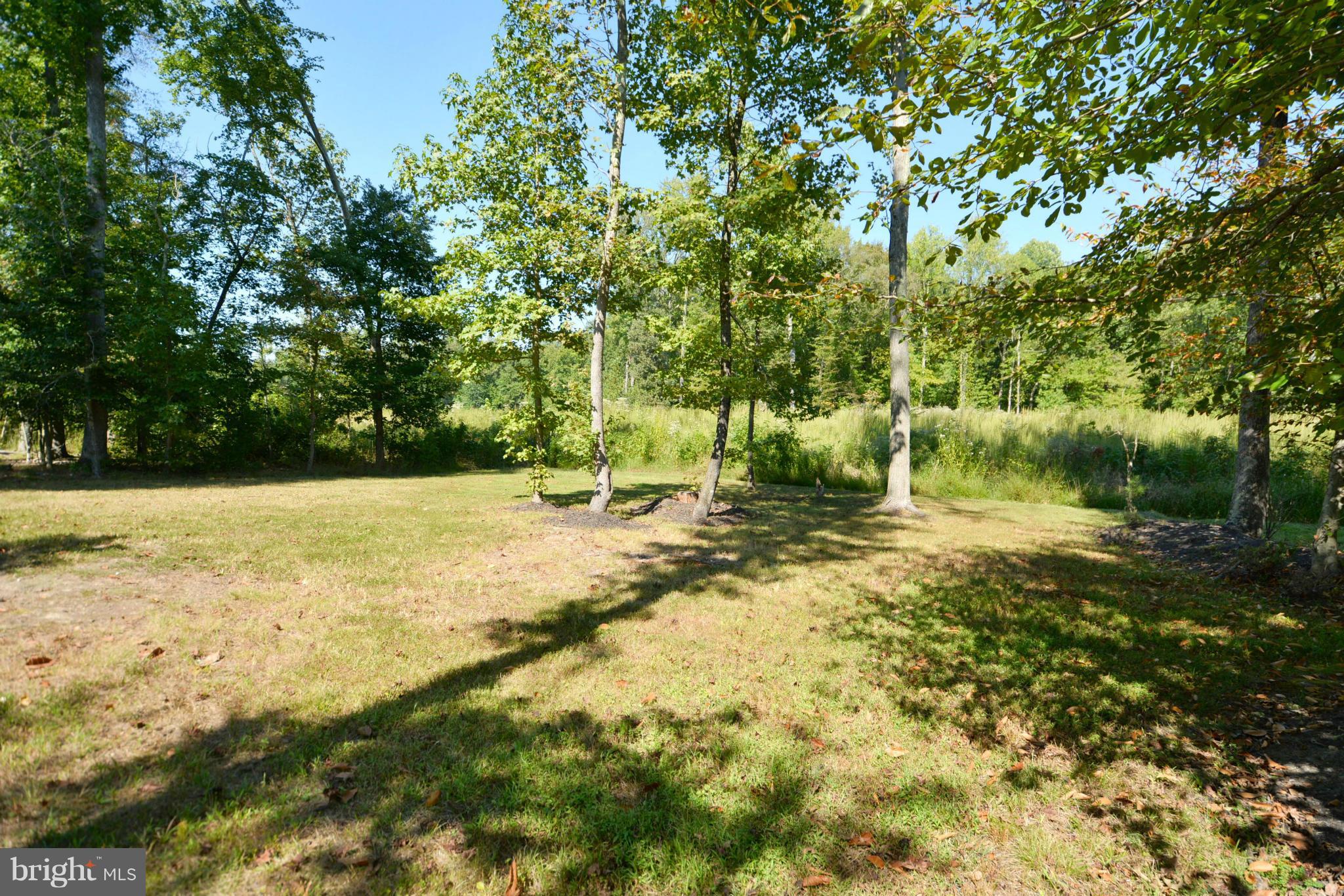 CHELTENHAM PARK - Residential