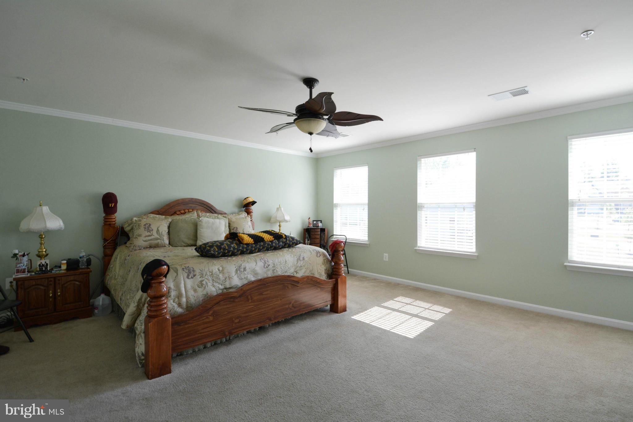 CHELTENHAM PARK - Residential