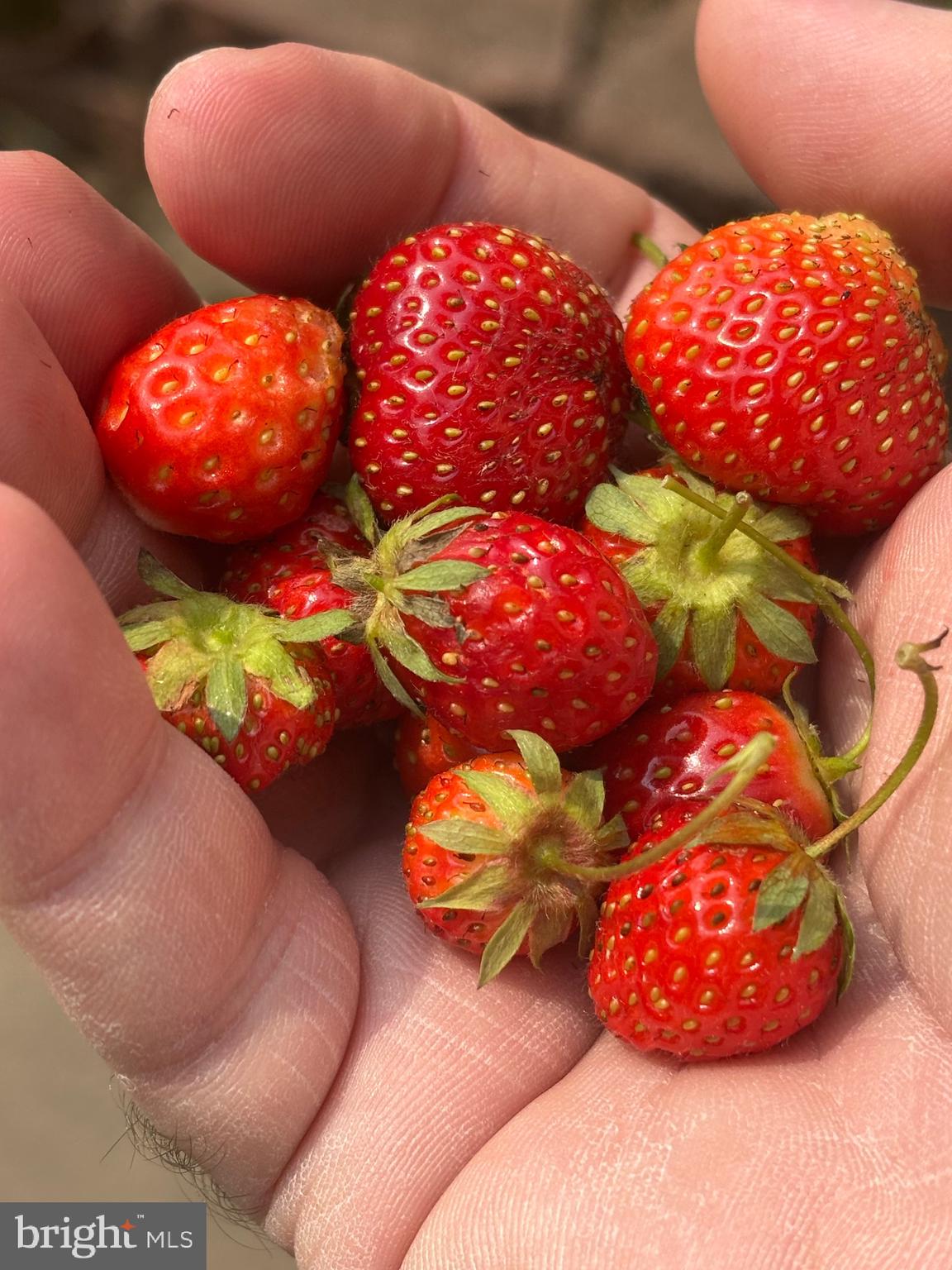 OWINGS BEACH - Residential