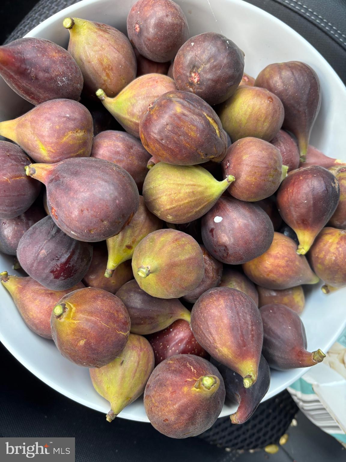 OWINGS BEACH - Residential