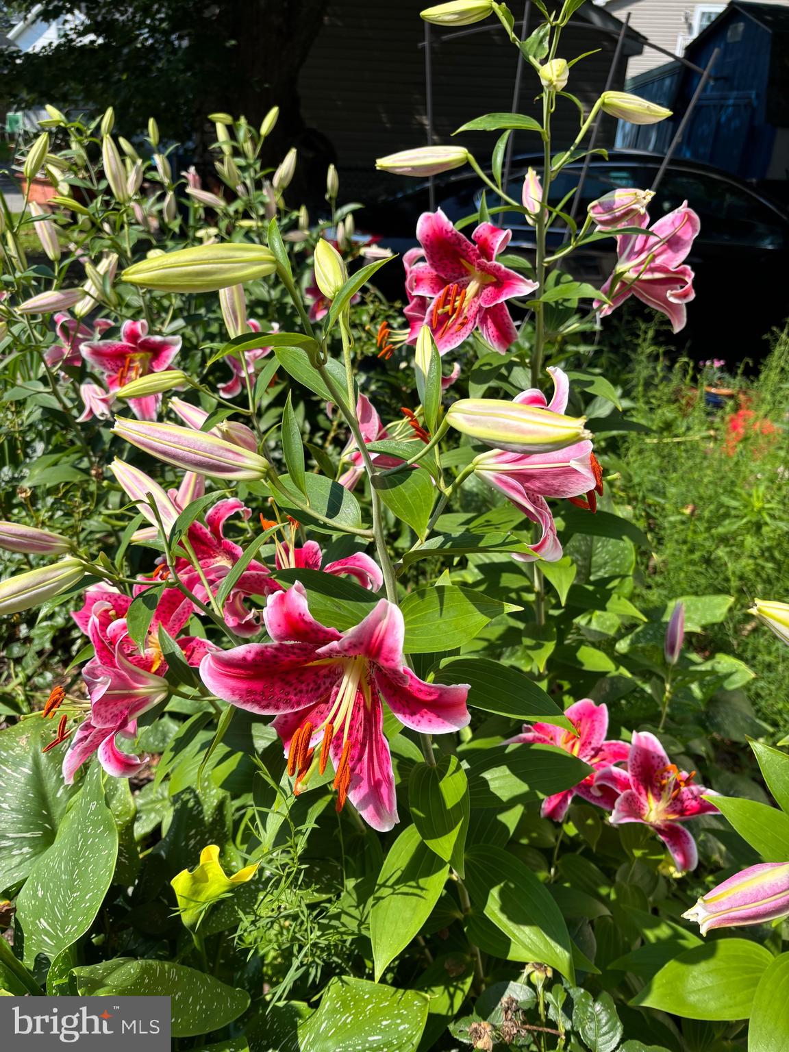 OWINGS BEACH - Residential