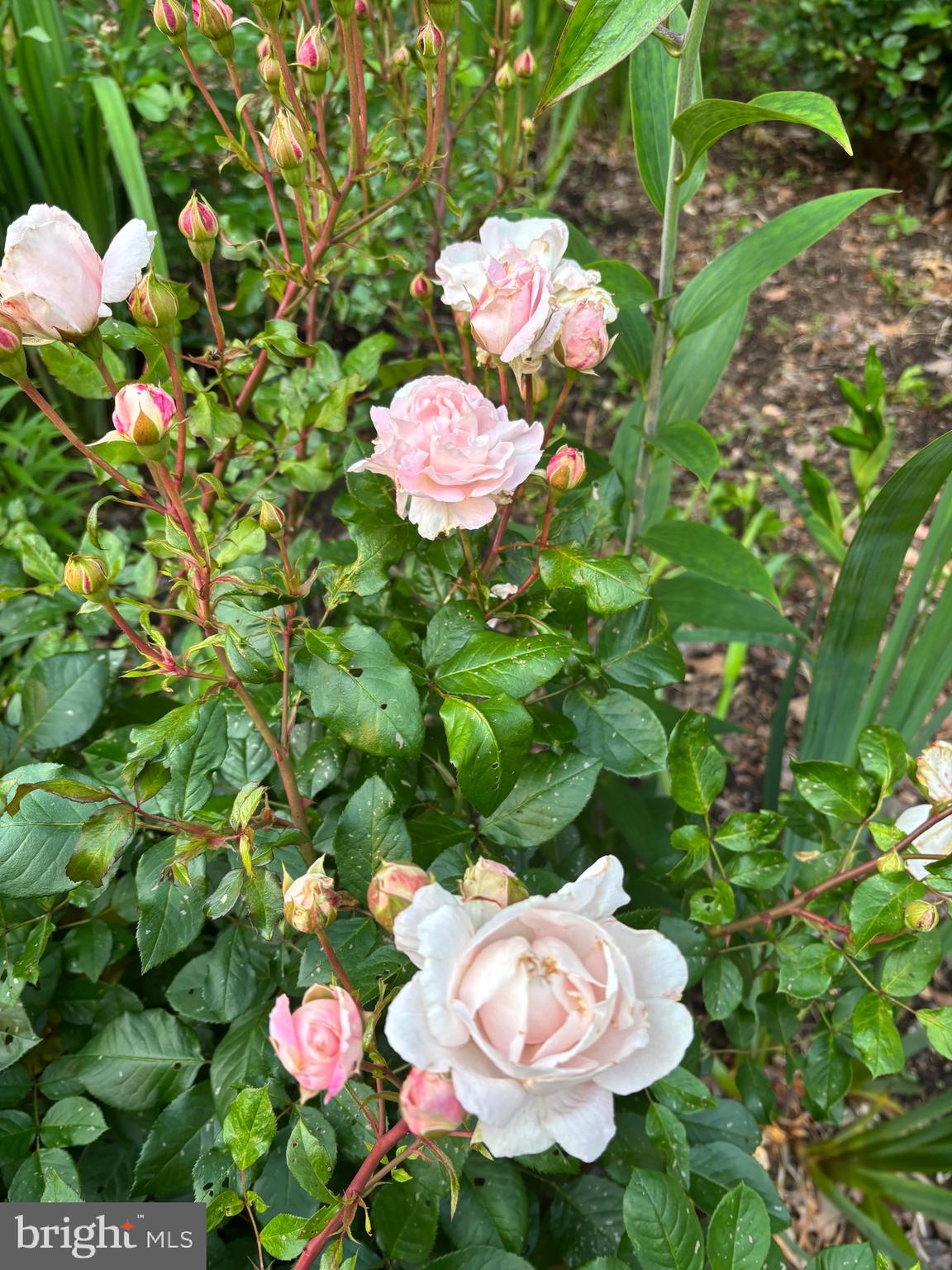 OWINGS BEACH - Residential