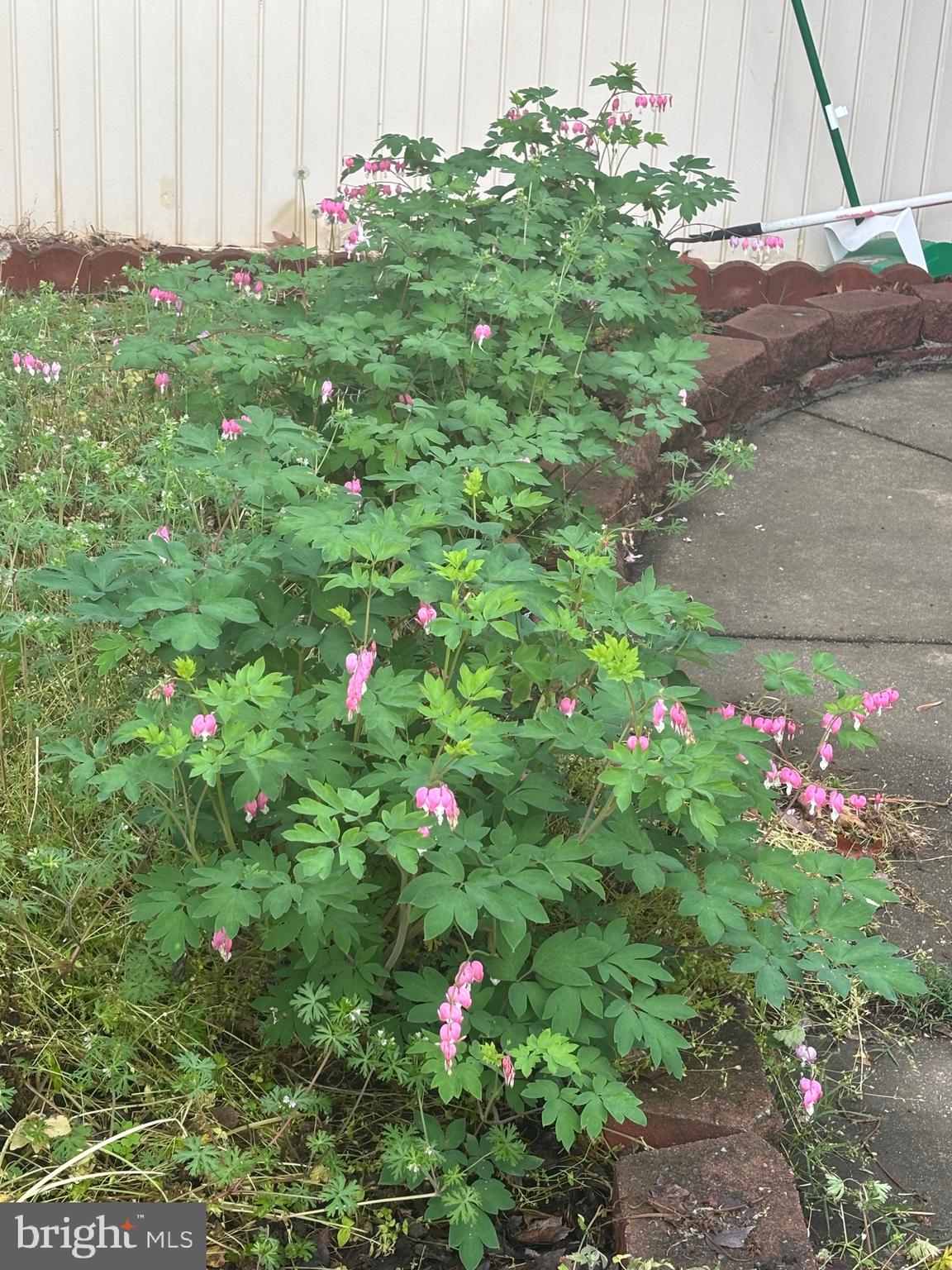 OWINGS BEACH - Residential