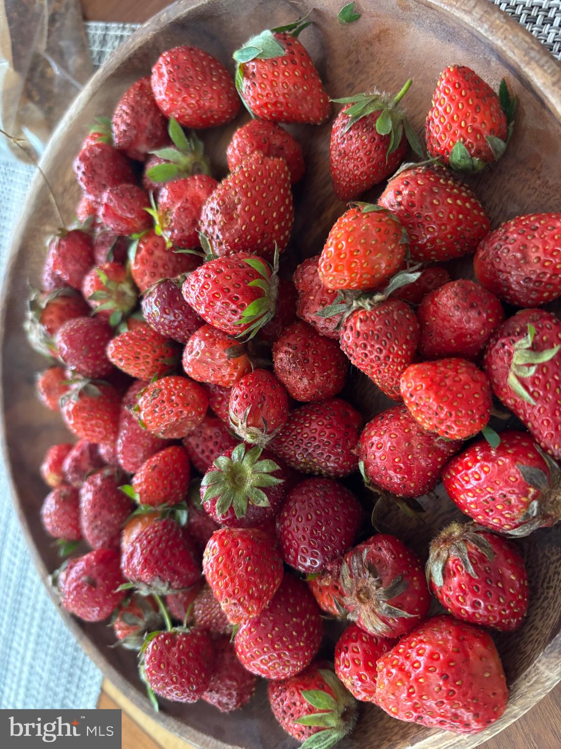 OWINGS BEACH - Residential