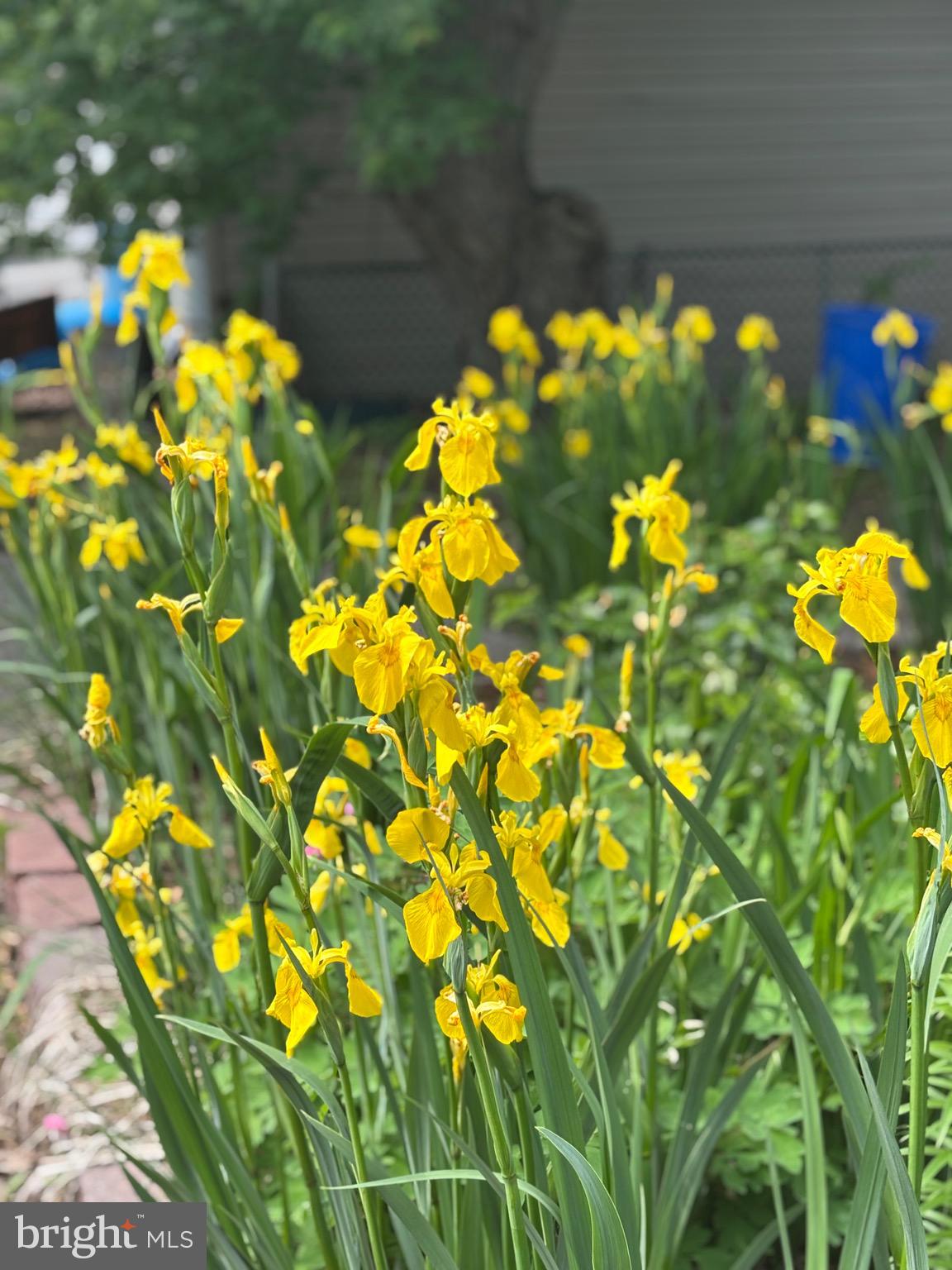 OWINGS BEACH - Residential