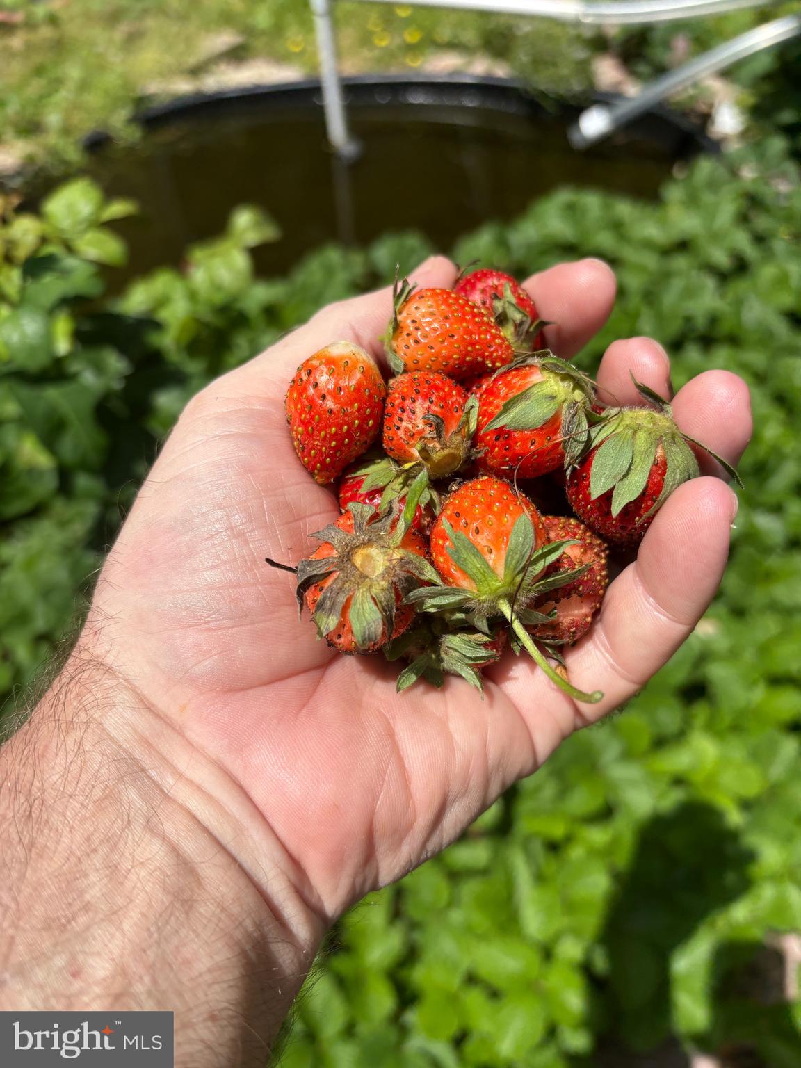 OWINGS BEACH - Residential