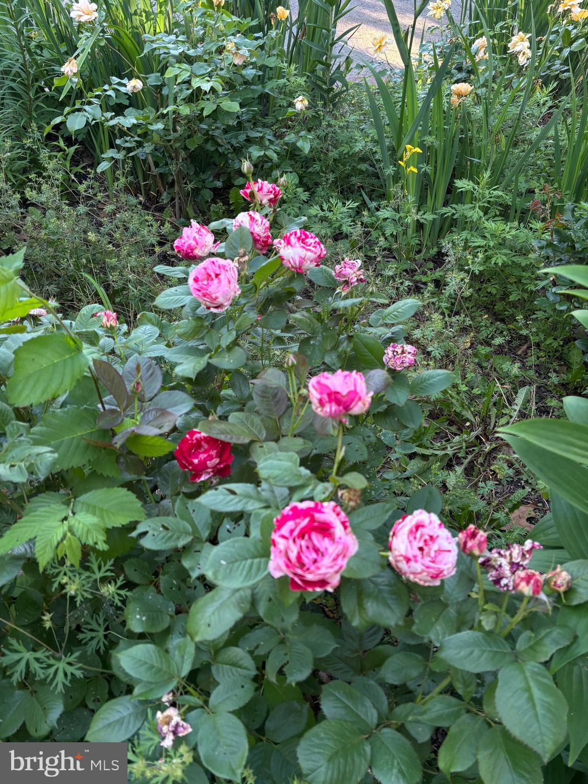 OWINGS BEACH - Residential