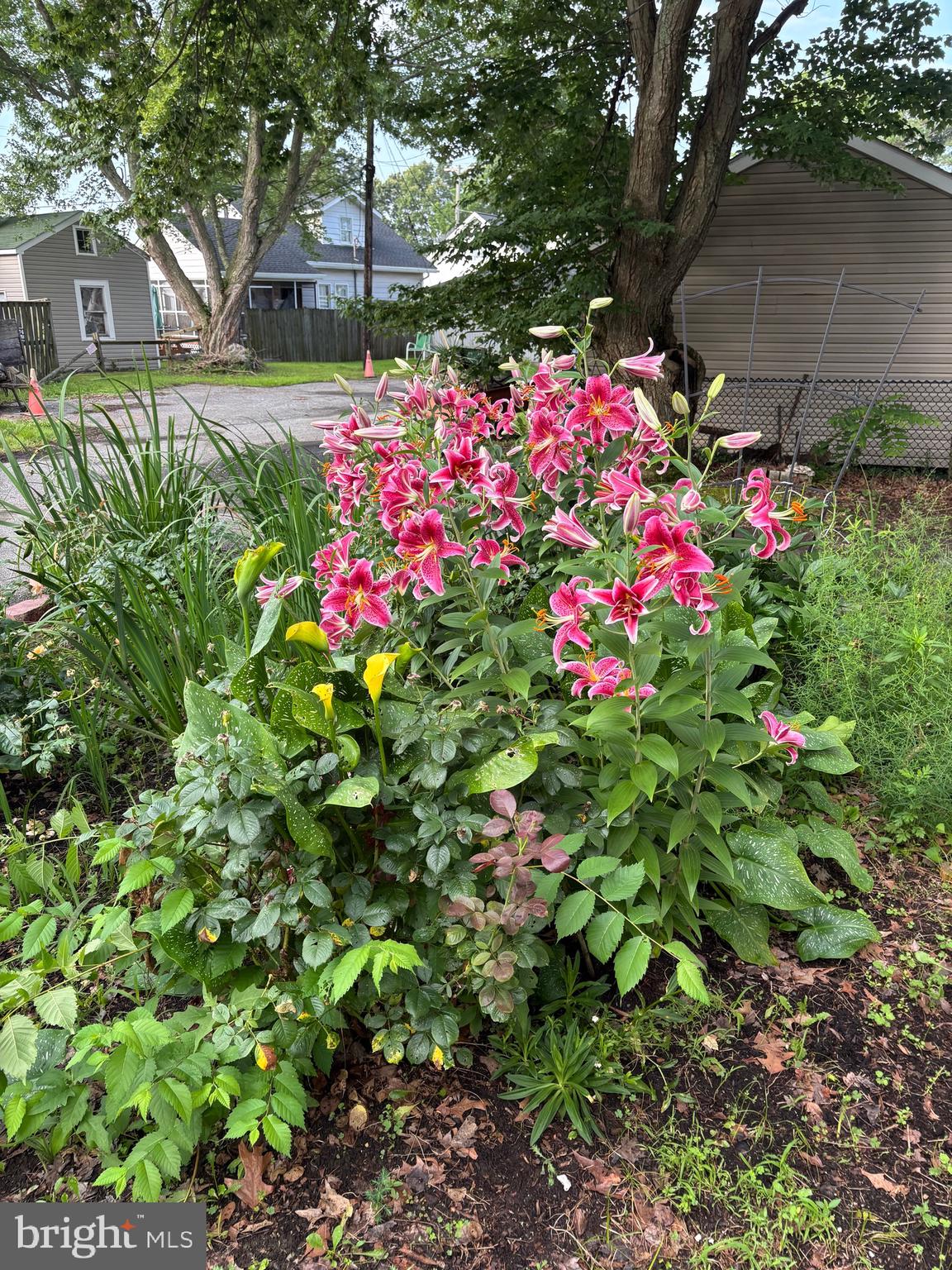 OWINGS BEACH - Residential