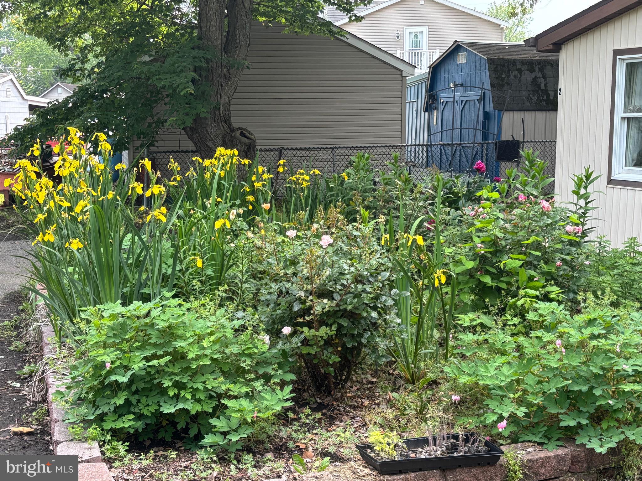 OWINGS BEACH - Residential