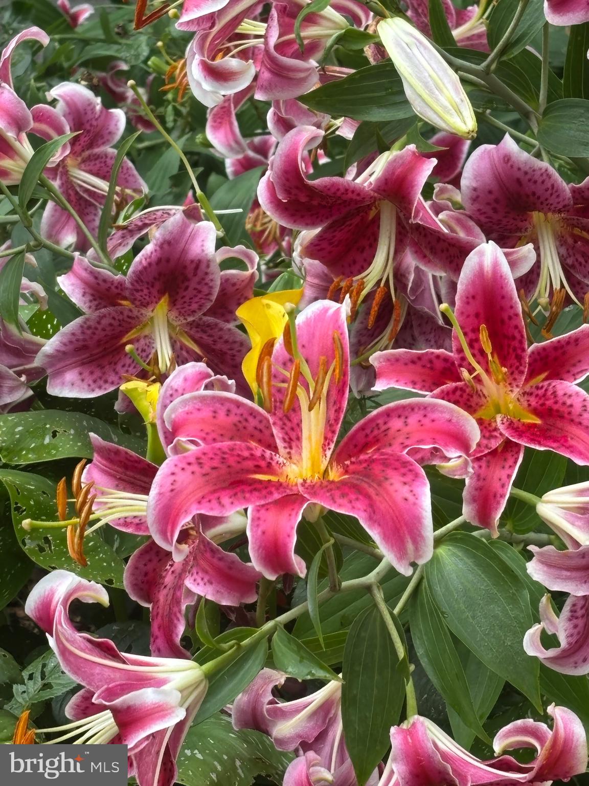 OWINGS BEACH - Residential